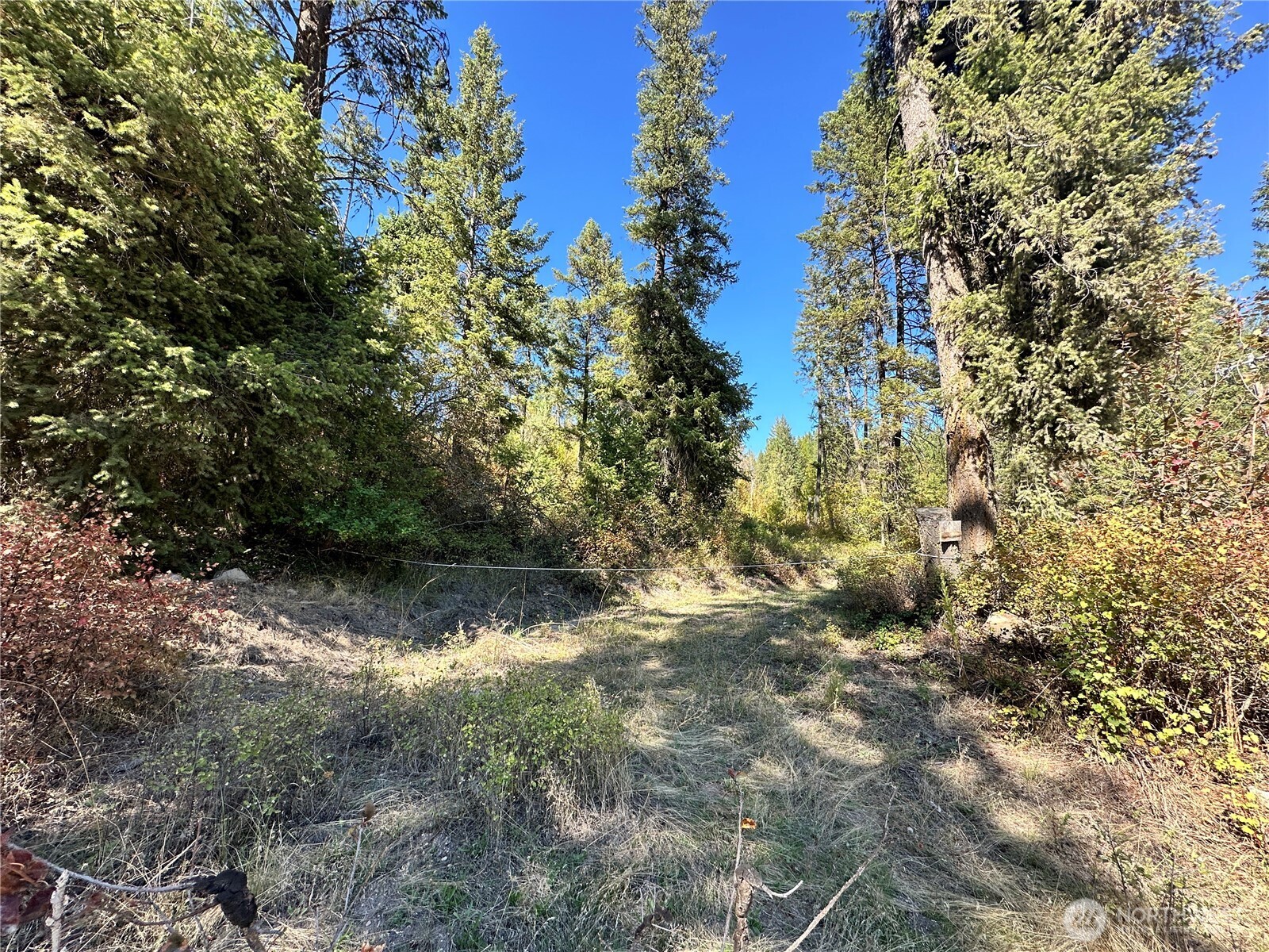 3 Lot 3 Deadman Creek Rd Property Photo 2
