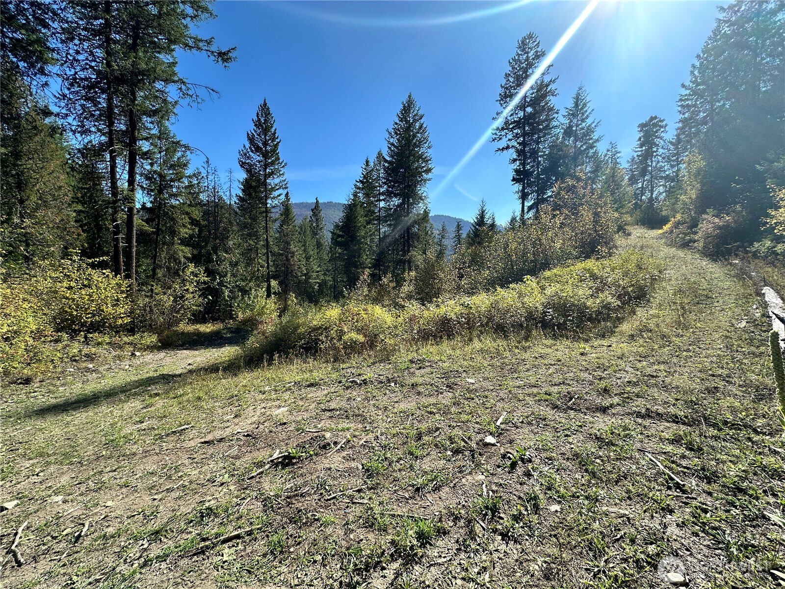 3 Lot 3 Deadman Creek Rd Property Photo 3