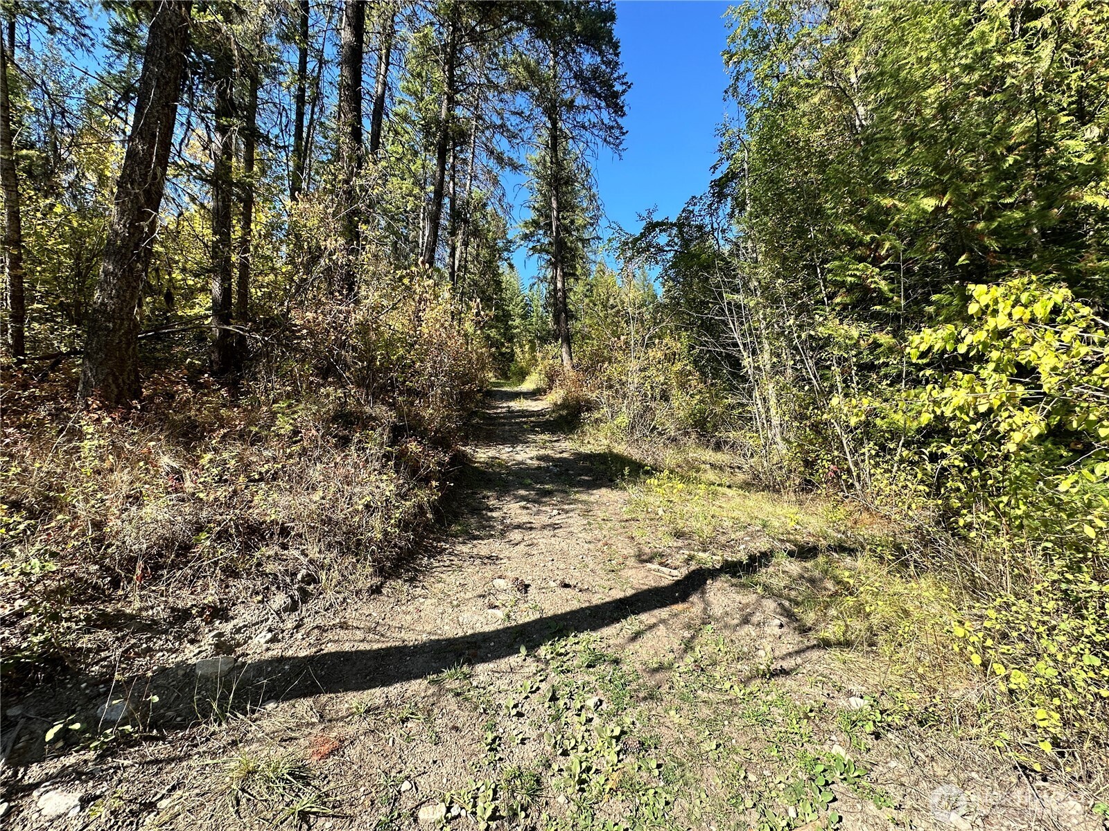 3 Lot 3 Deadman Creek Rd Property Photo 4