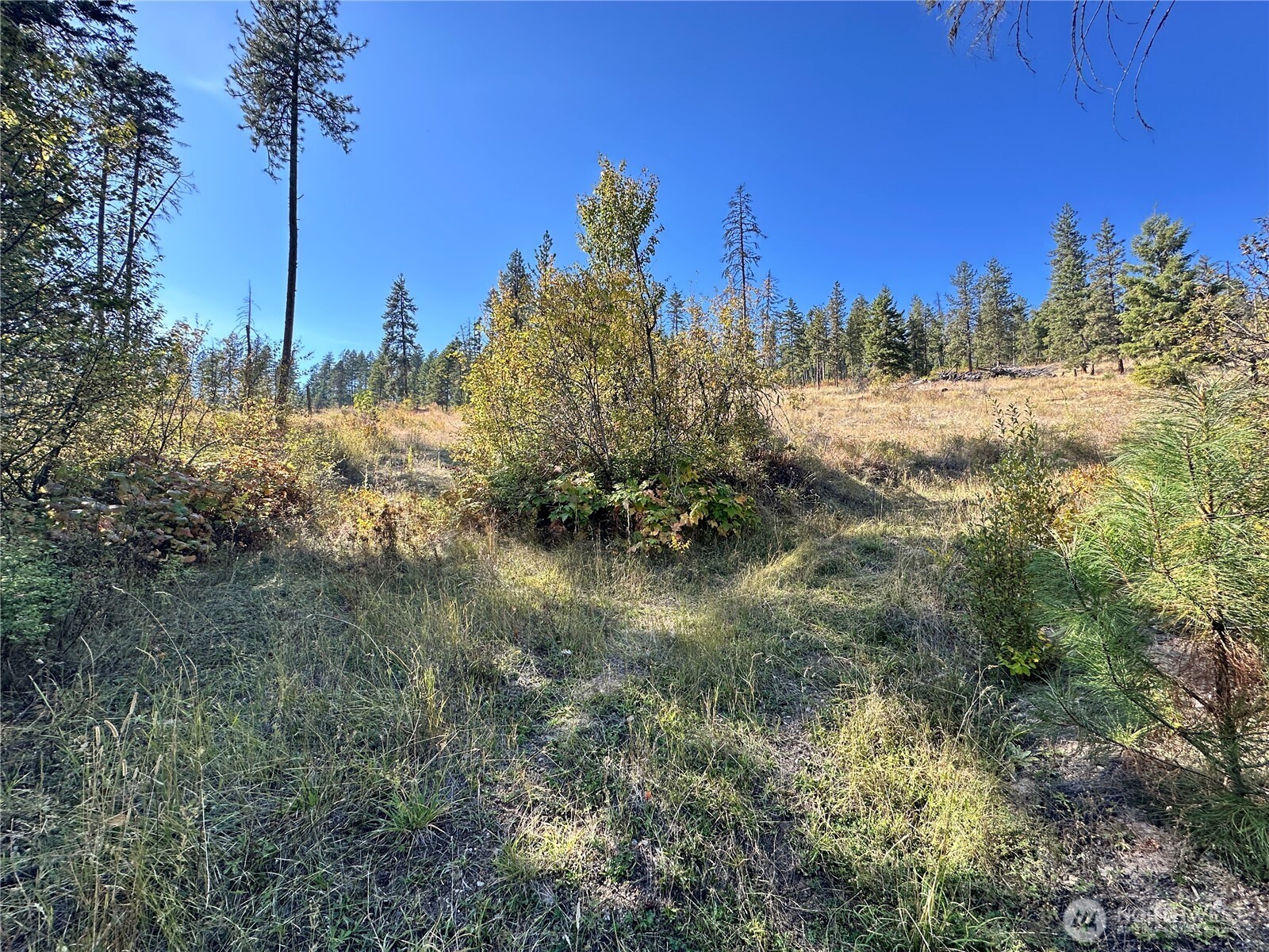 3 Lot 3 Deadman Creek Rd Property Photo 5