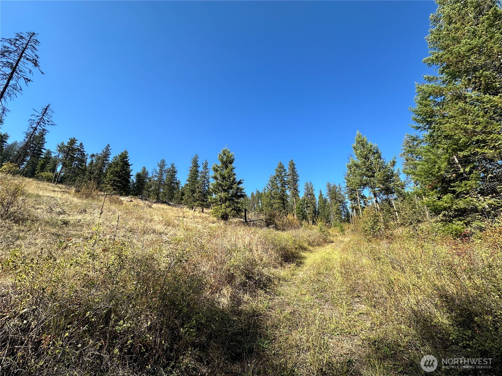 3 Lot 3 Deadman Creek Rd Property Photo 6