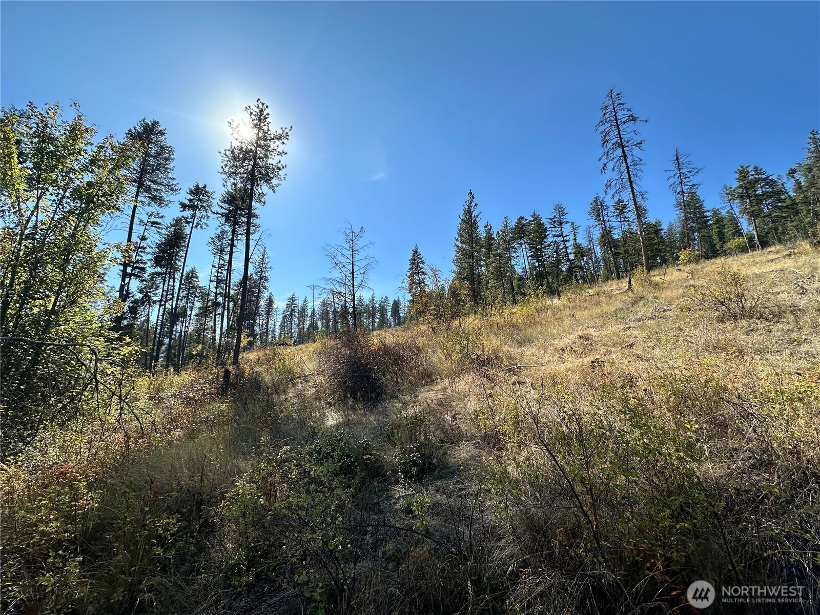 3 Lot 3 Deadman Creek Rd Property Photo 7