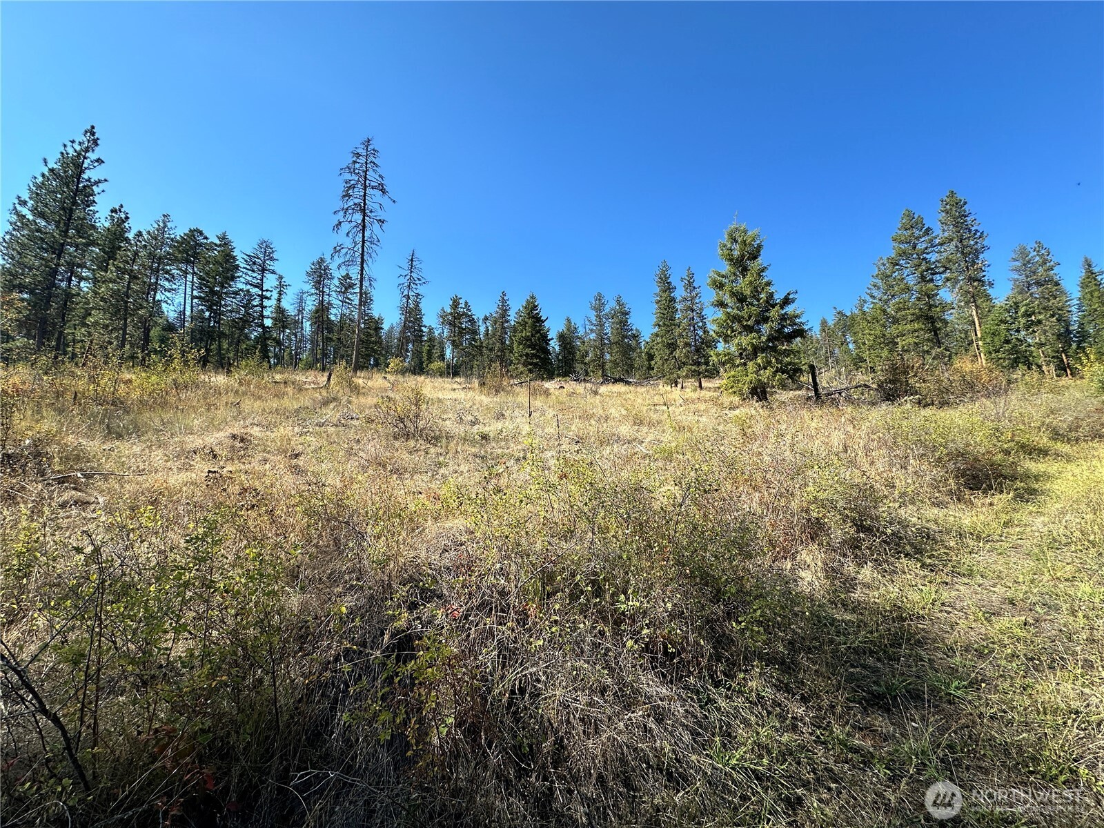 3 Lot 3 Deadman Creek Rd Property Photo 8