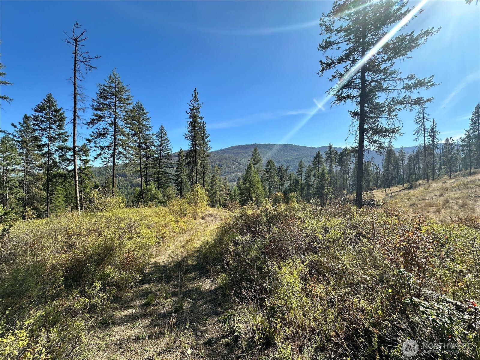 3 Lot 3 Deadman Creek Rd Property Photo 9