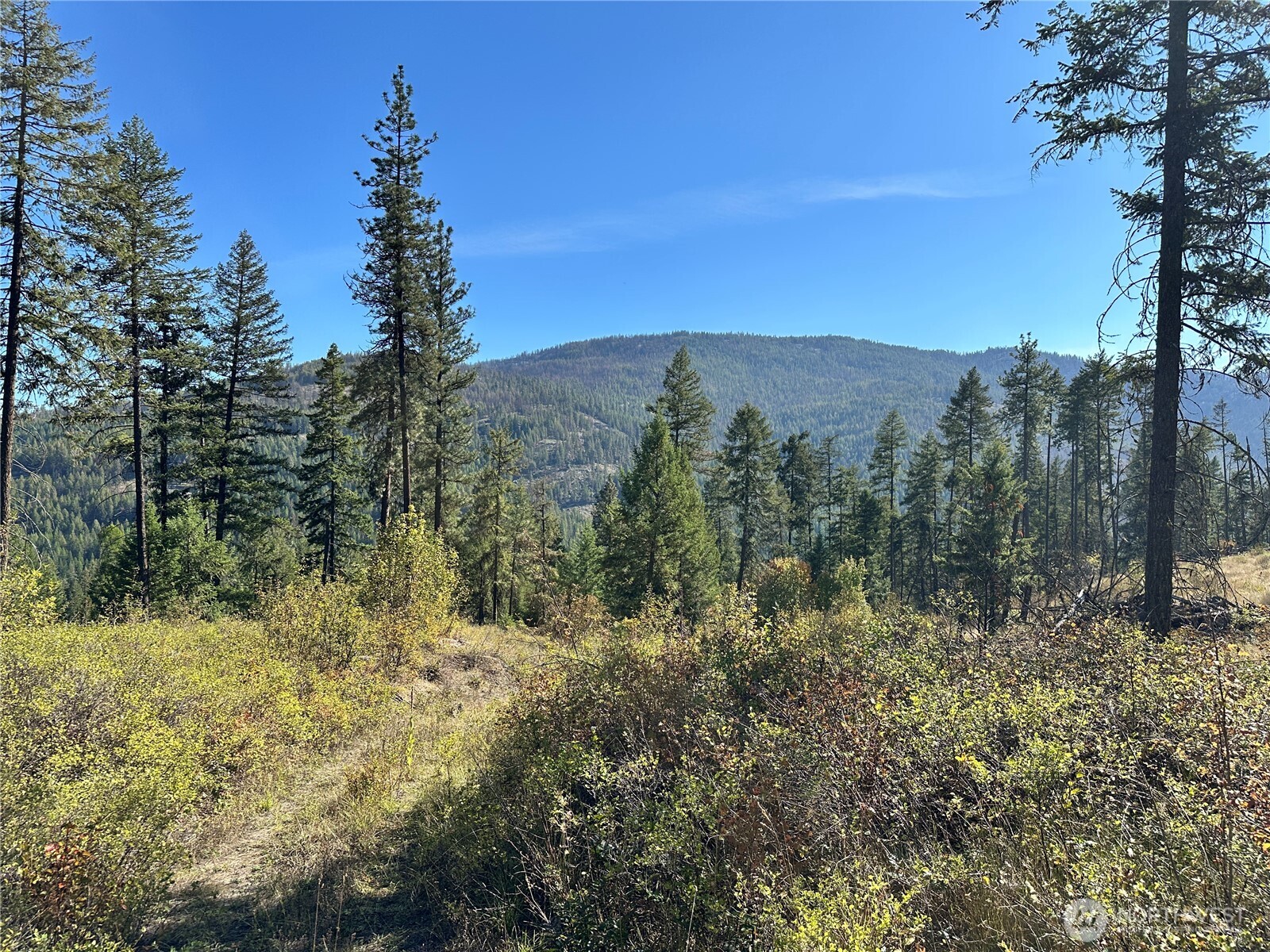 3 Lot 3 Deadman Creek Rd Property Photo 10