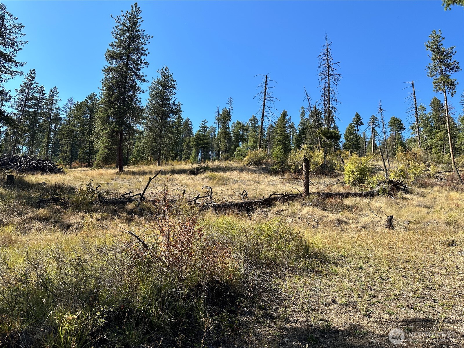 3 Lot 3 Deadman Creek Rd Property Photo 11