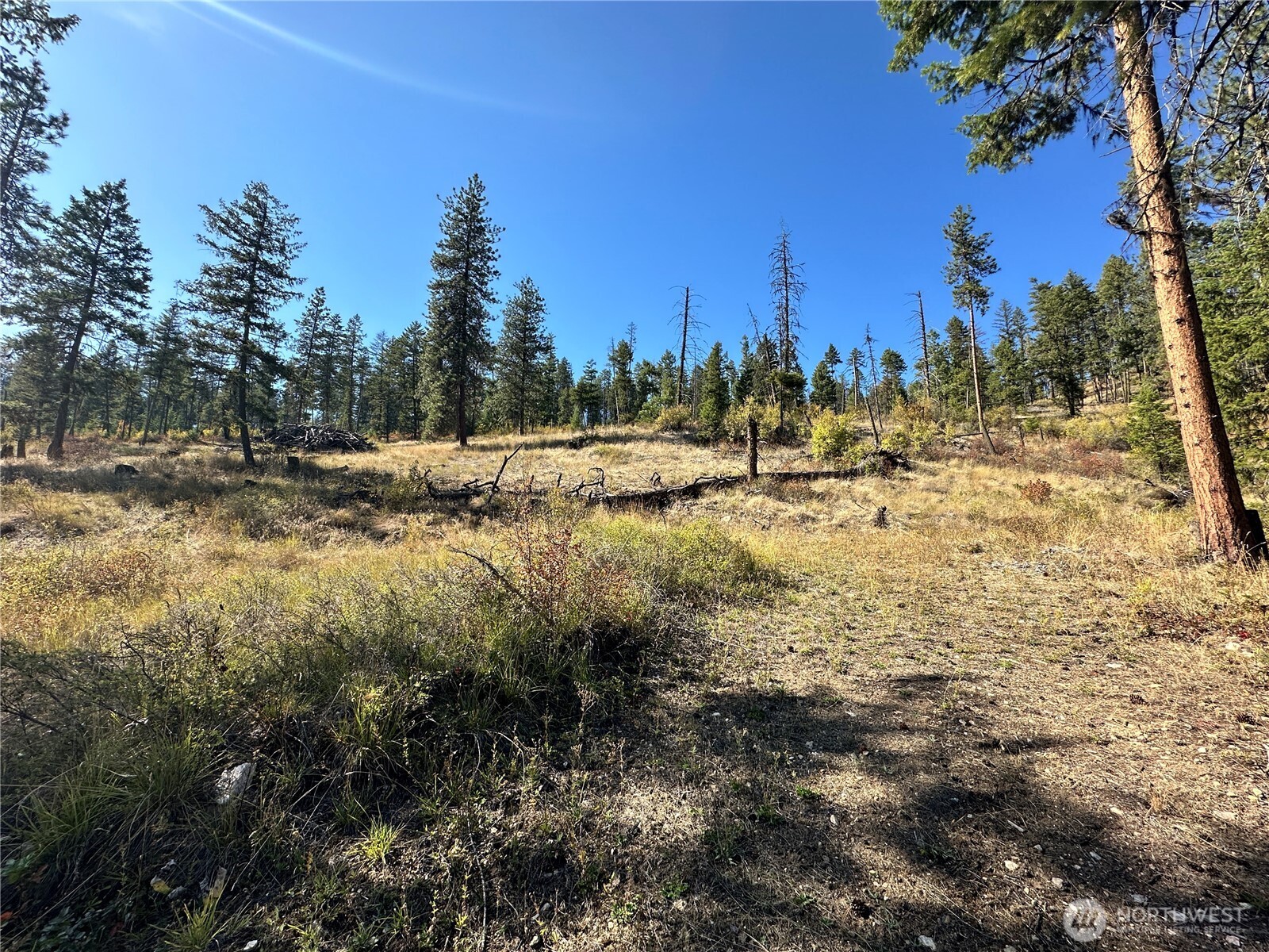 3 Lot 3 Deadman Creek Rd Property Photo 12