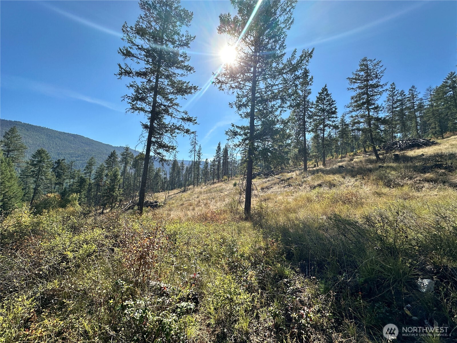 3 Lot 3 Deadman Creek Rd Property Photo 13