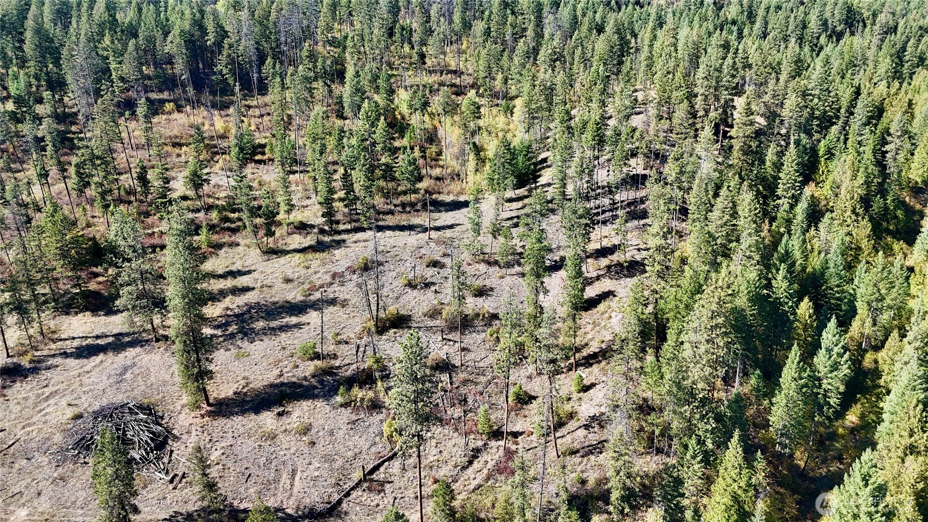 3 Lot 3 Deadman Creek Rd Property Photo 15