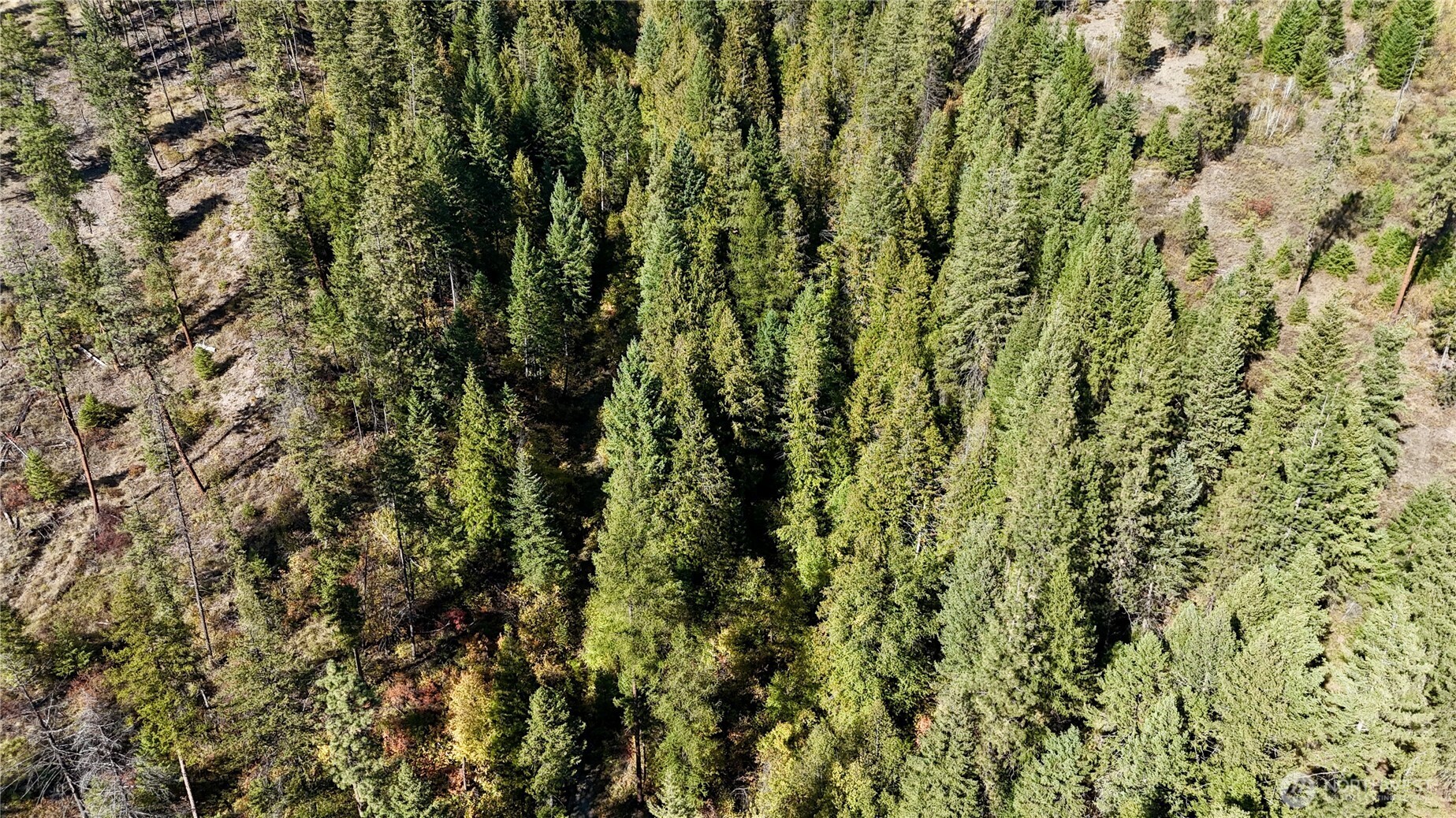3 Lot 3 Deadman Creek Rd Property Photo 16
