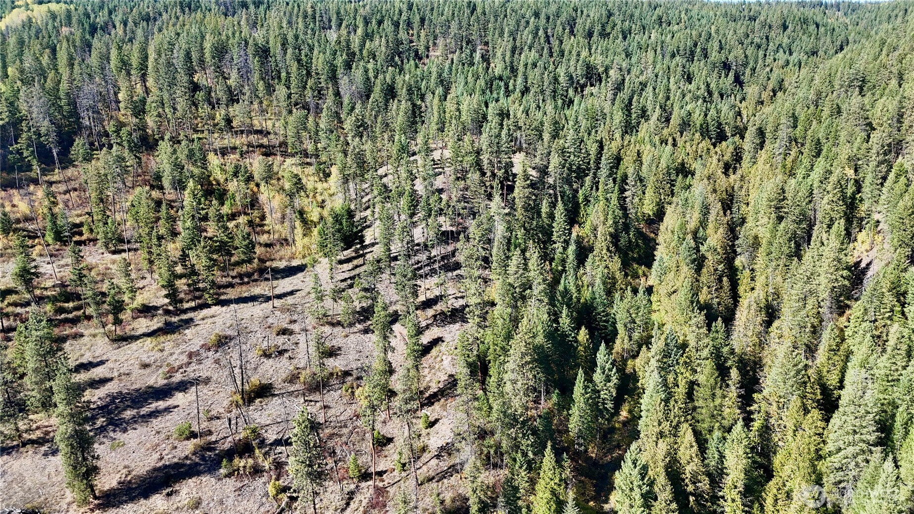 3 Lot 3 Deadman Creek Rd Property Photo 20