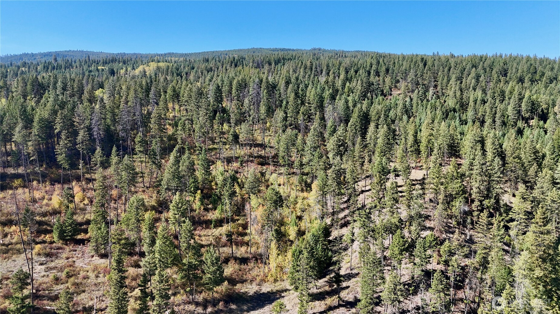 3 Lot 3 Deadman Creek Rd Property Photo 21