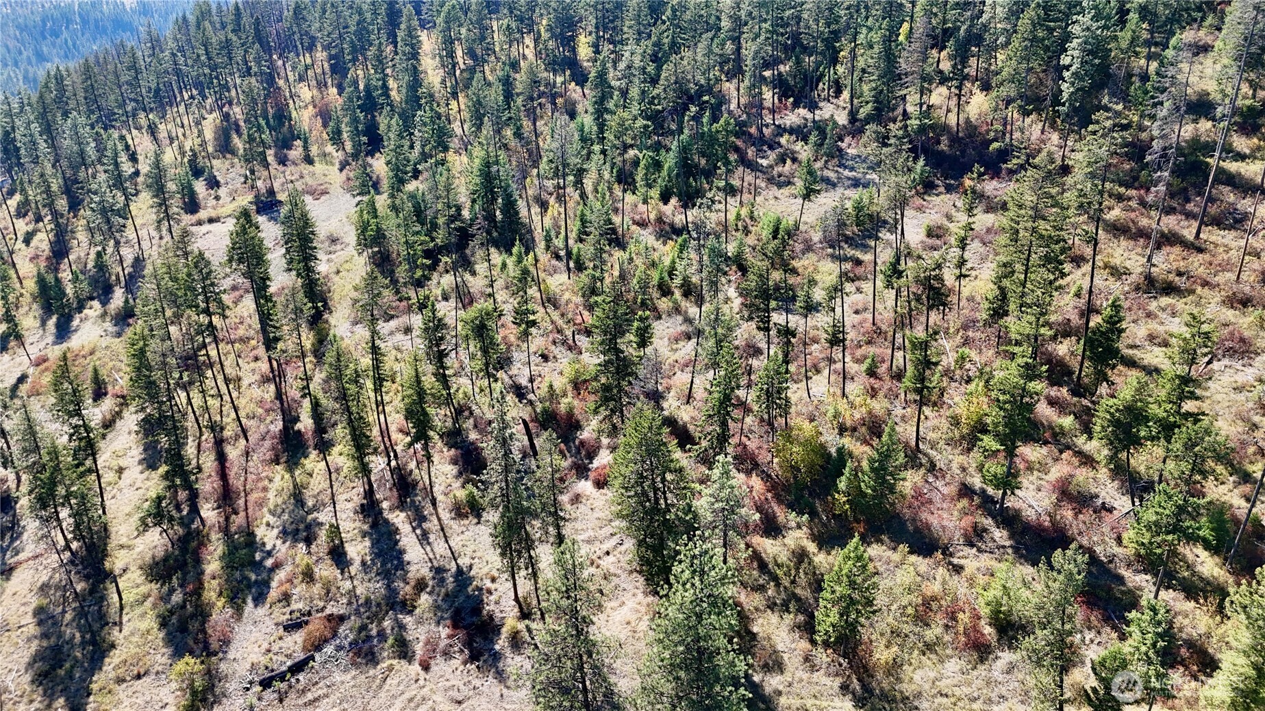 3 Lot 3 Deadman Creek Rd Property Photo 23