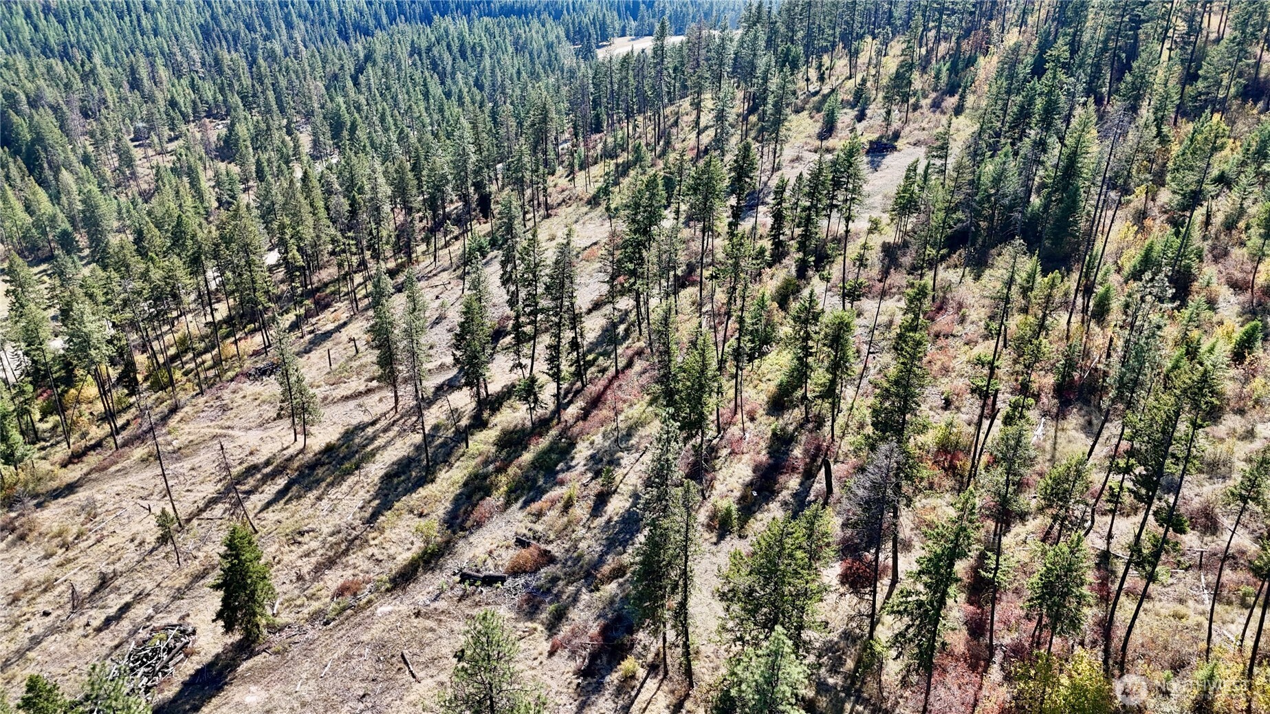 3 Lot 3 Deadman Creek Rd Property Photo 24