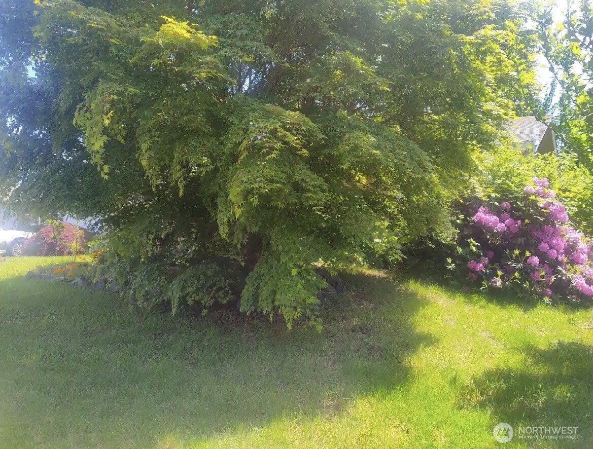 7529 12th Avenue Property Photo 26
