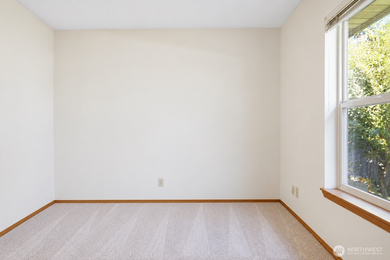 3805 Morning Mist Way Property Photo 28