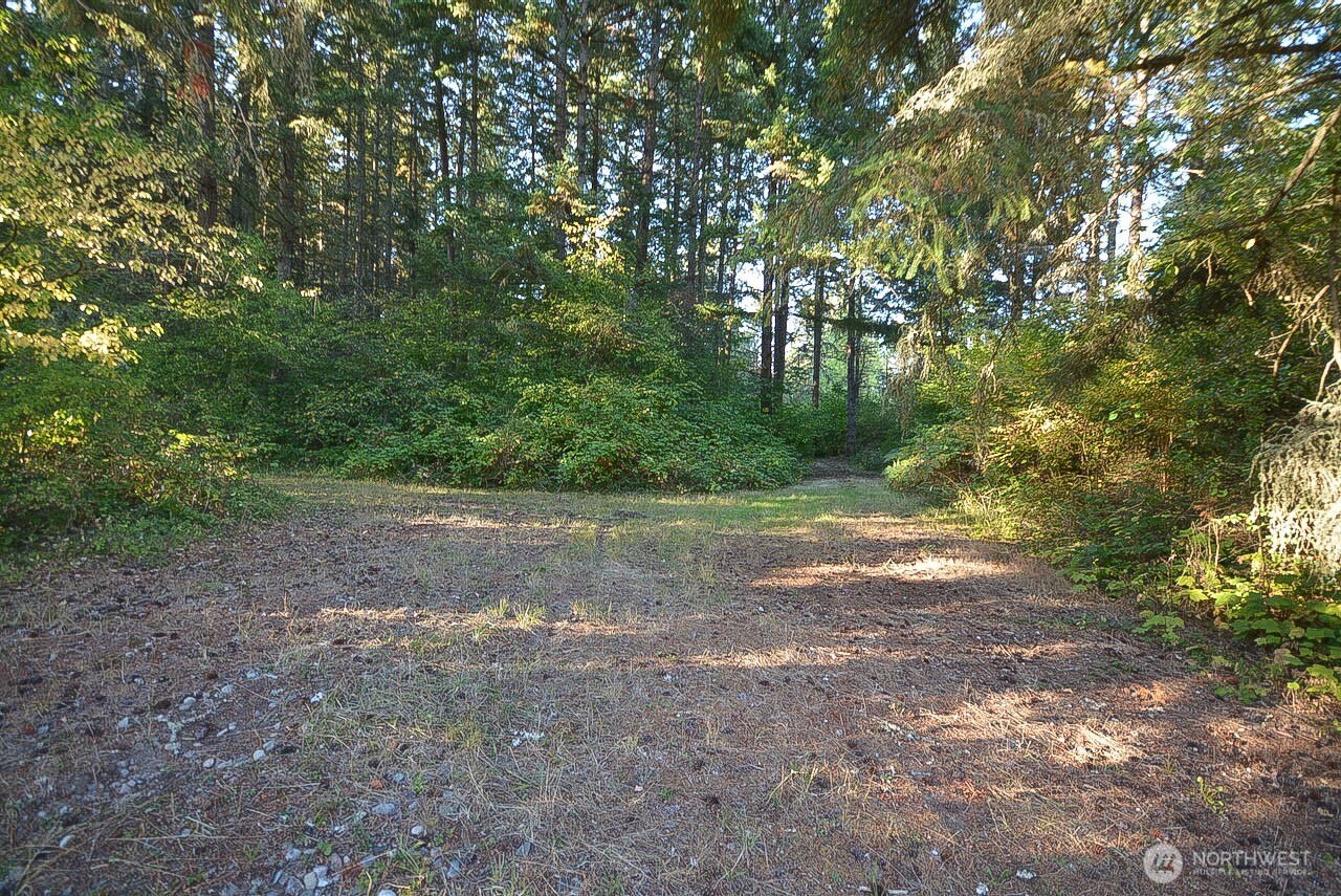 12626 Gilling Lane Property Photo 9