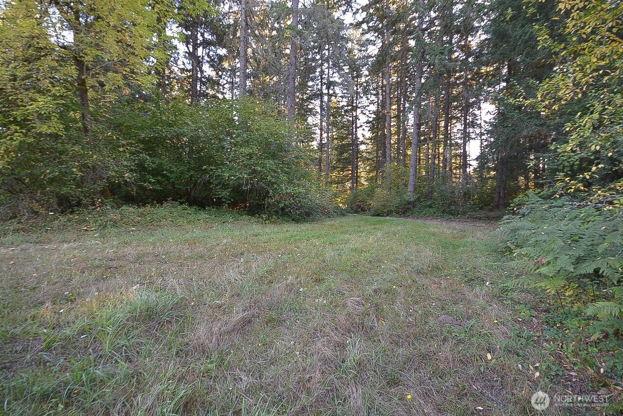 12626 Gilling Lane Property Photo 10