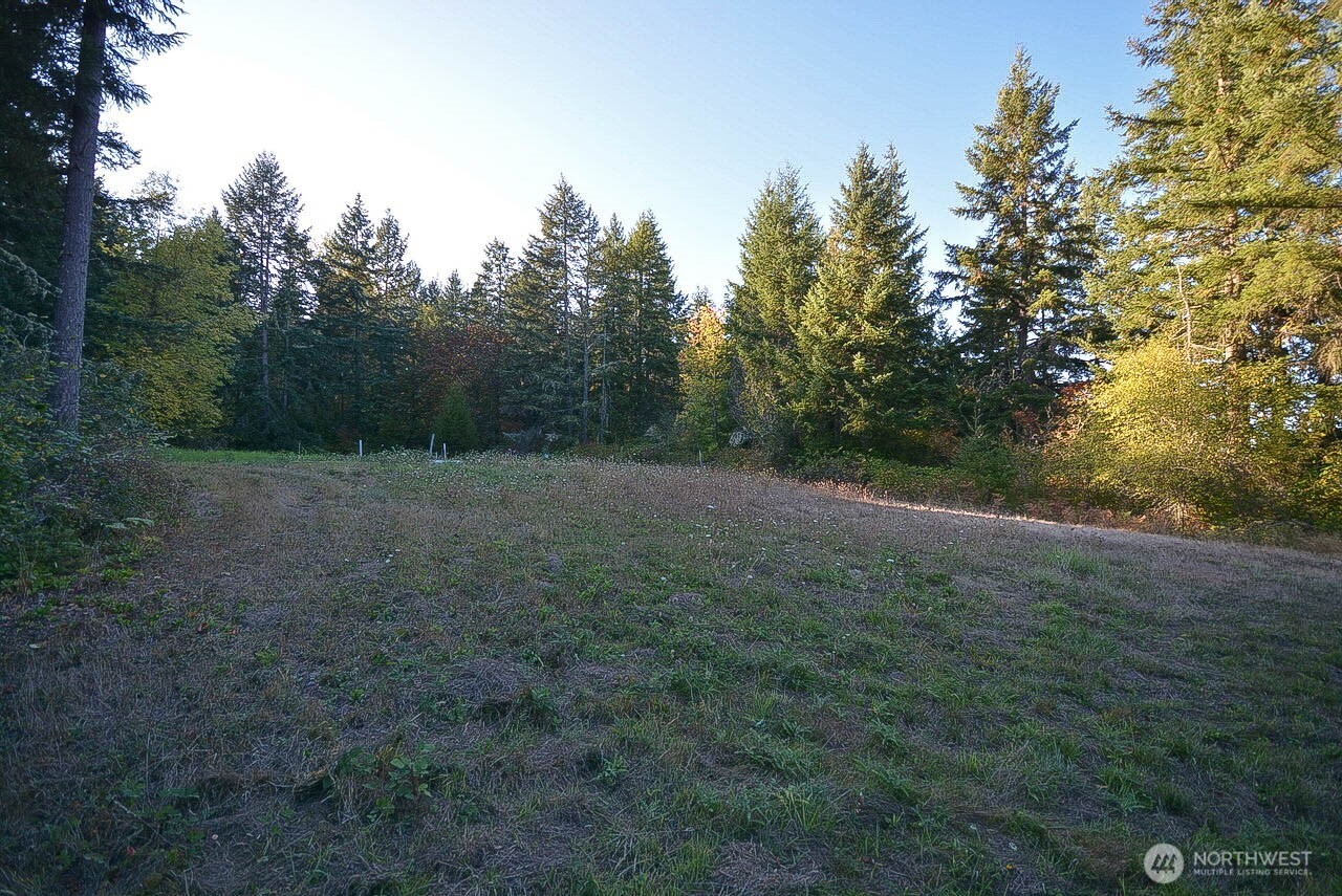 12626 Gilling Lane Property Photo 13