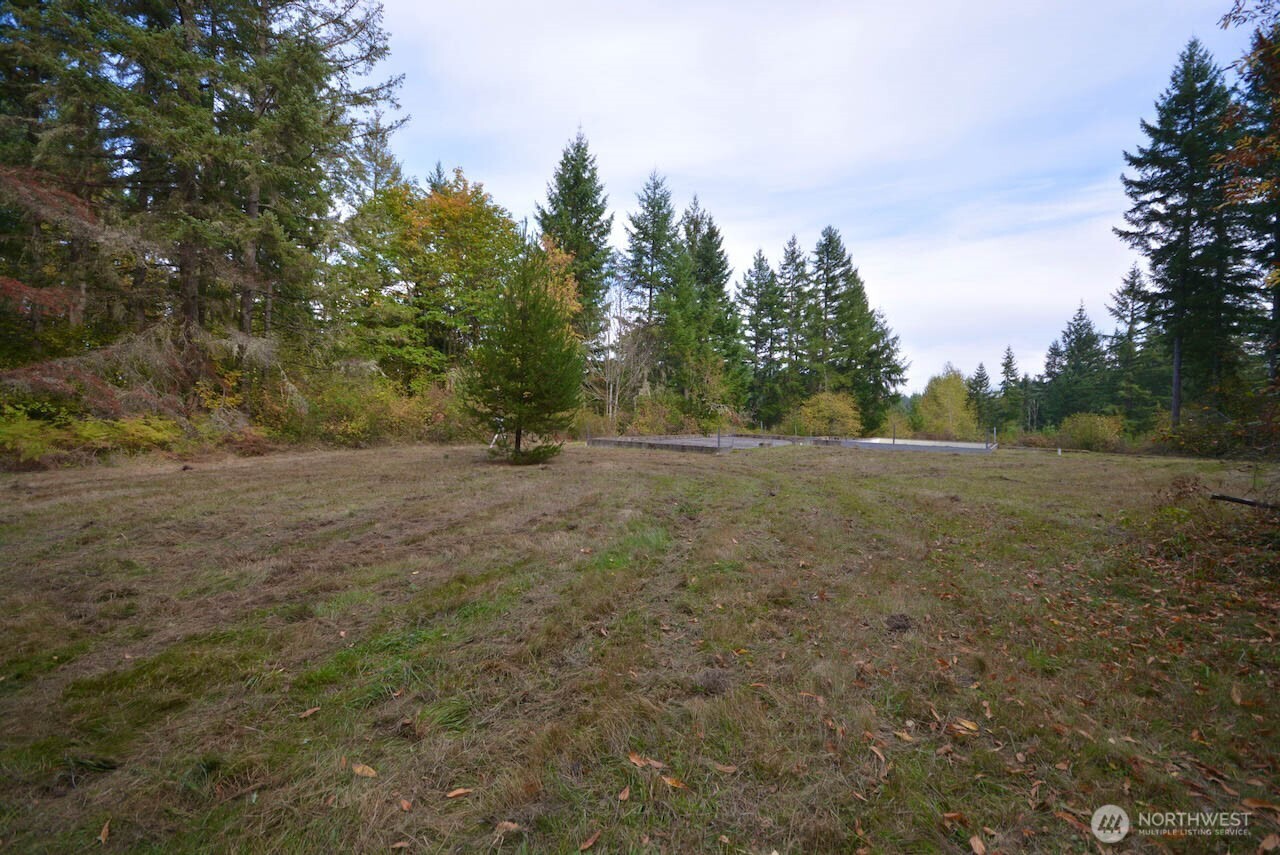 12626 Gilling Lane Property Photo 36