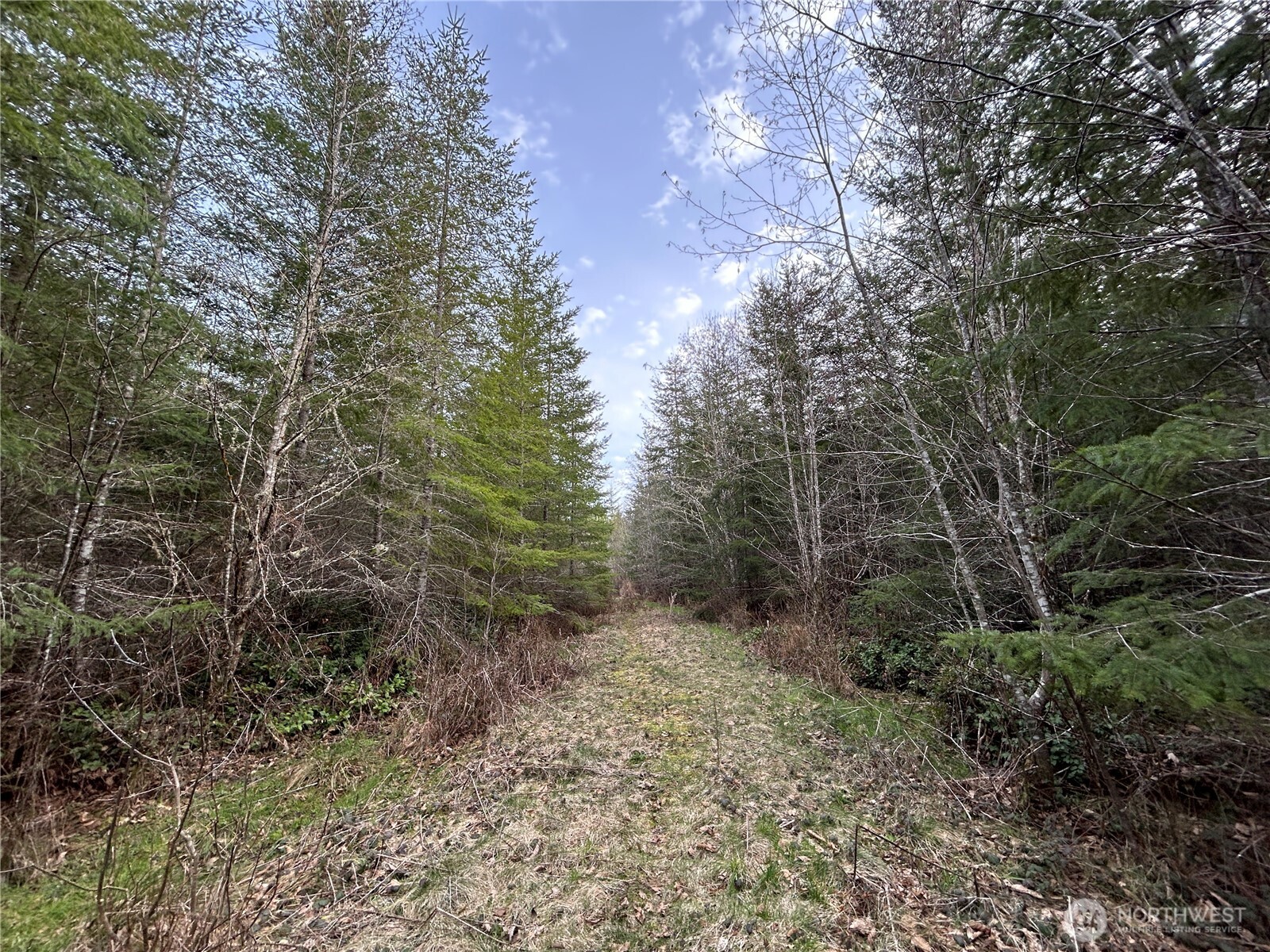 0 Nka Finkas Road Property Photo 11
