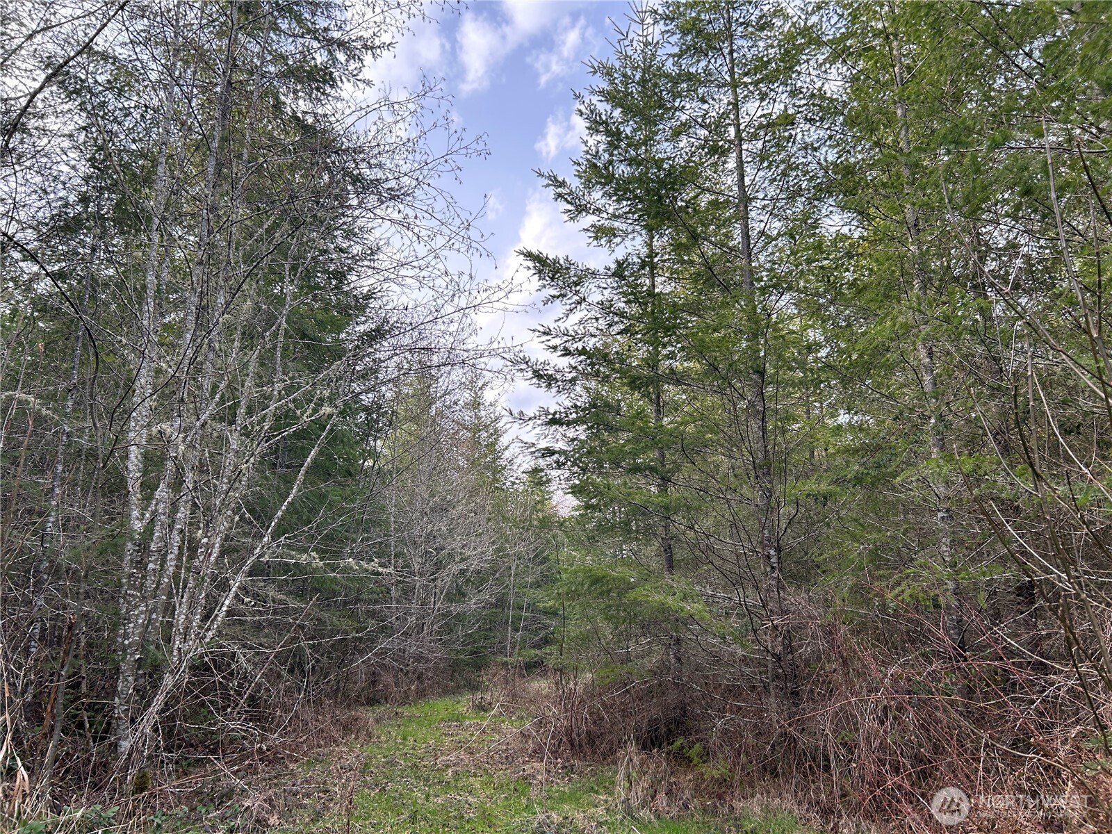 0 Nka Finkas Road Property Photo 12