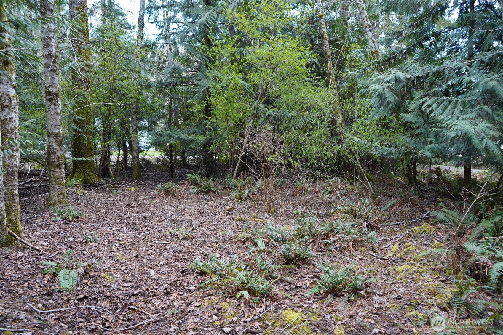 321 E Ballycastle Way Property Photo 9
