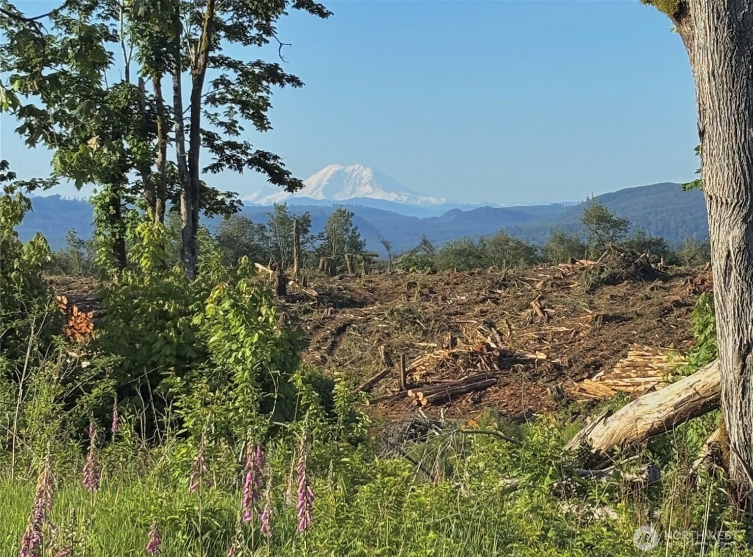 27419 Old Pipeline Road Property Photo 1