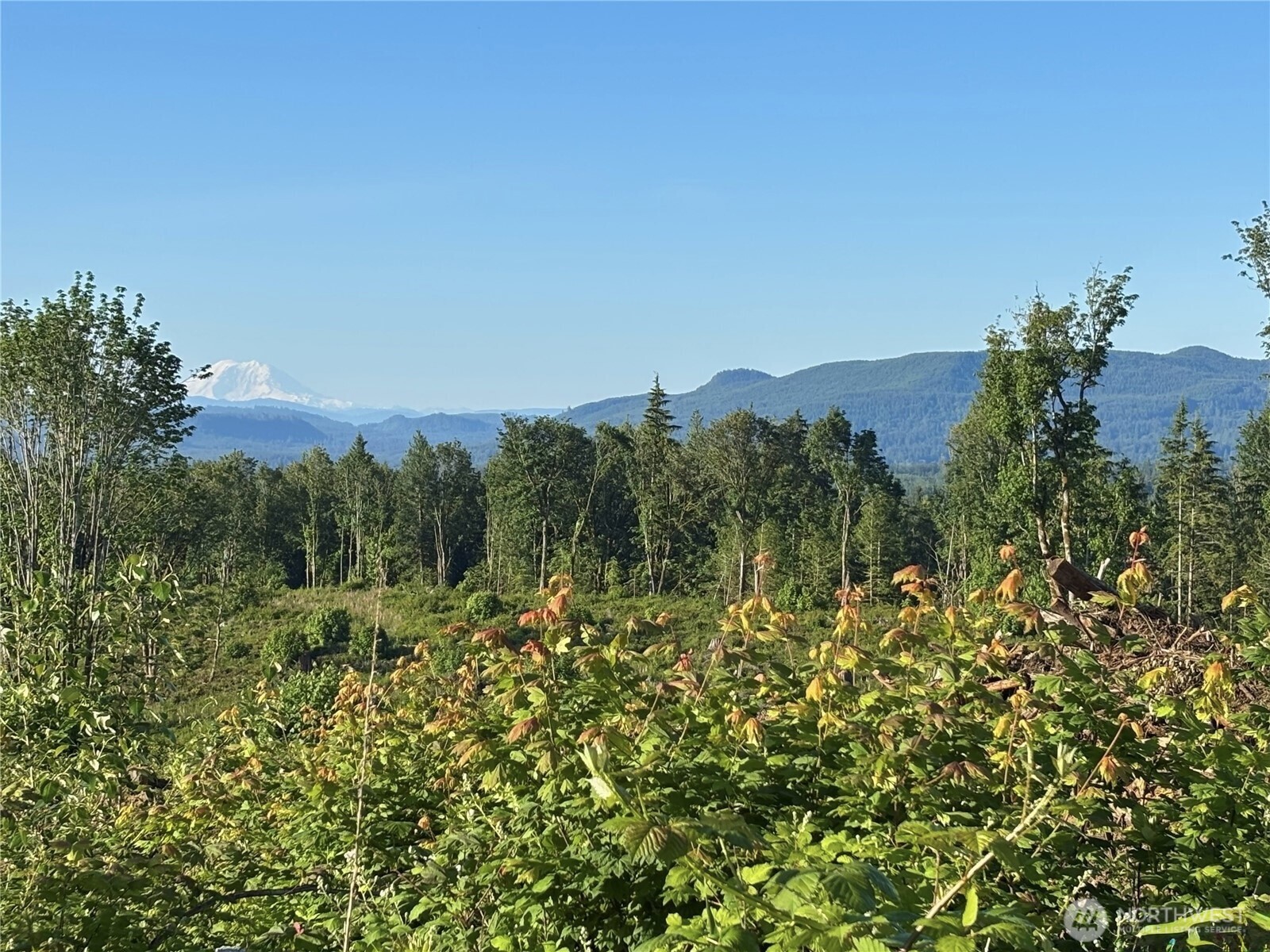 27419 Old Pipeline Road Property Photo 8