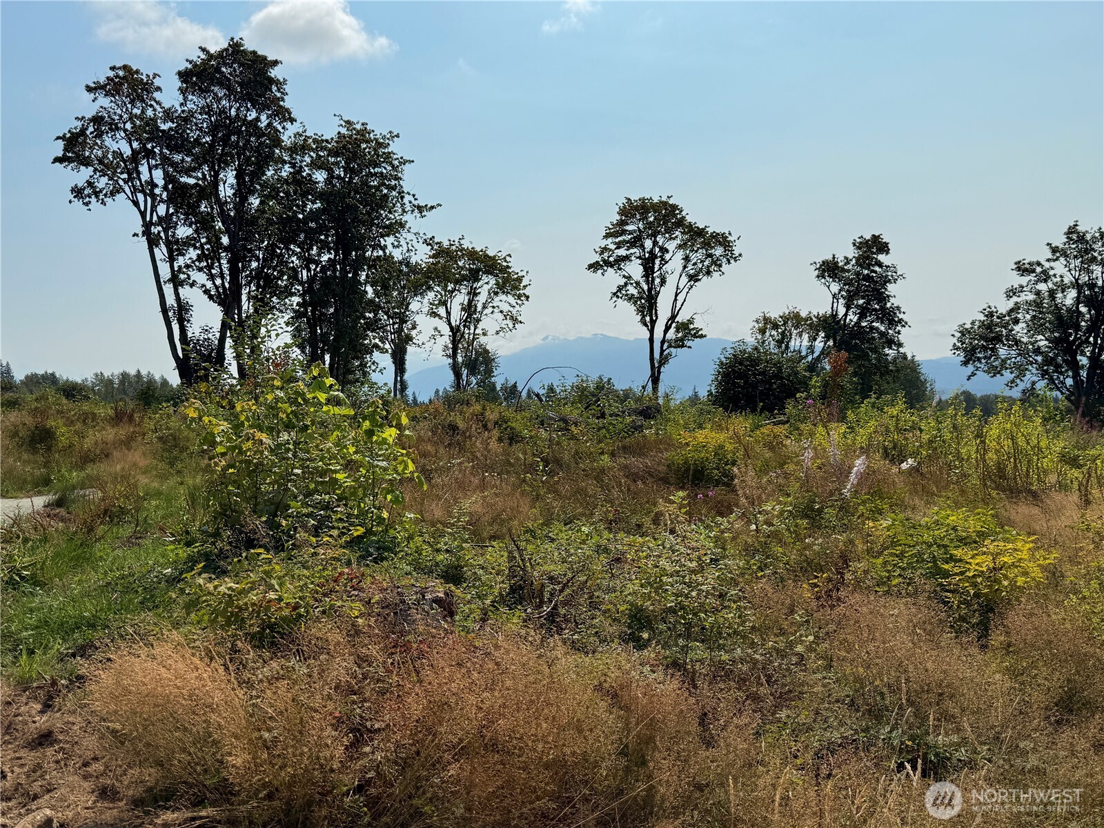 27419 Old Pipeline Road Property Photo 9