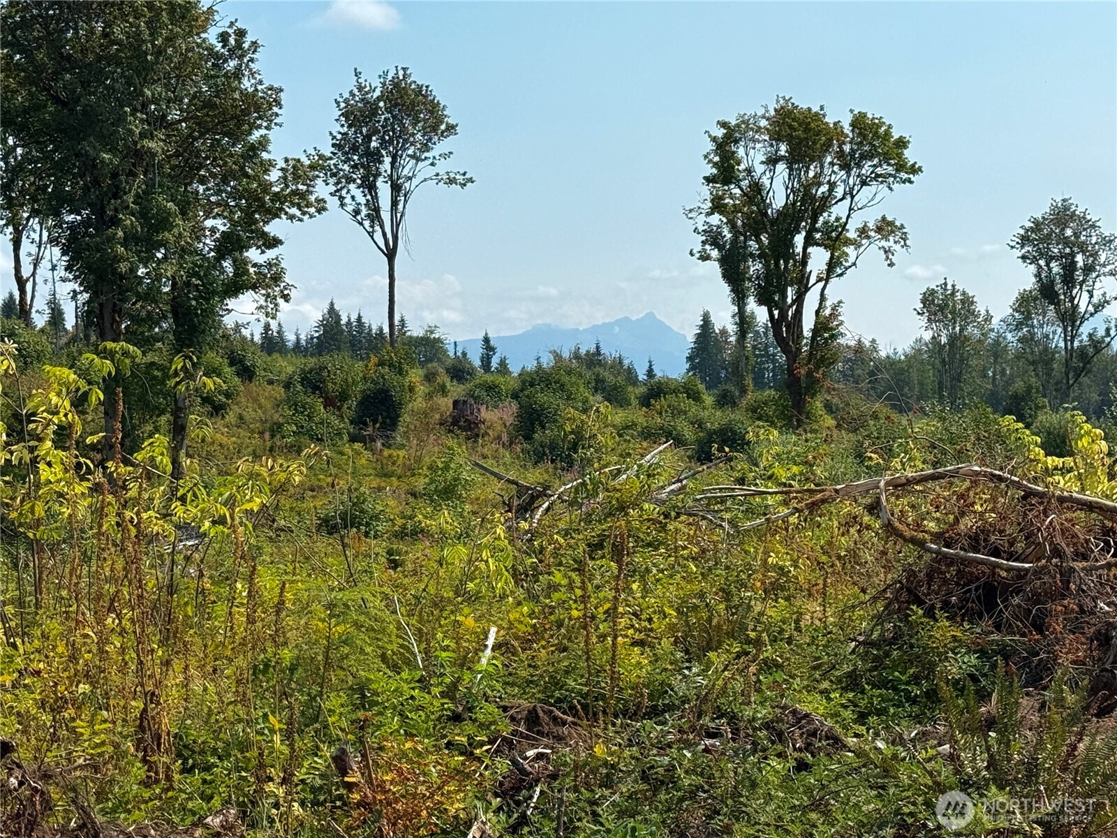 27419 Old Pipeline Road Property Photo 10