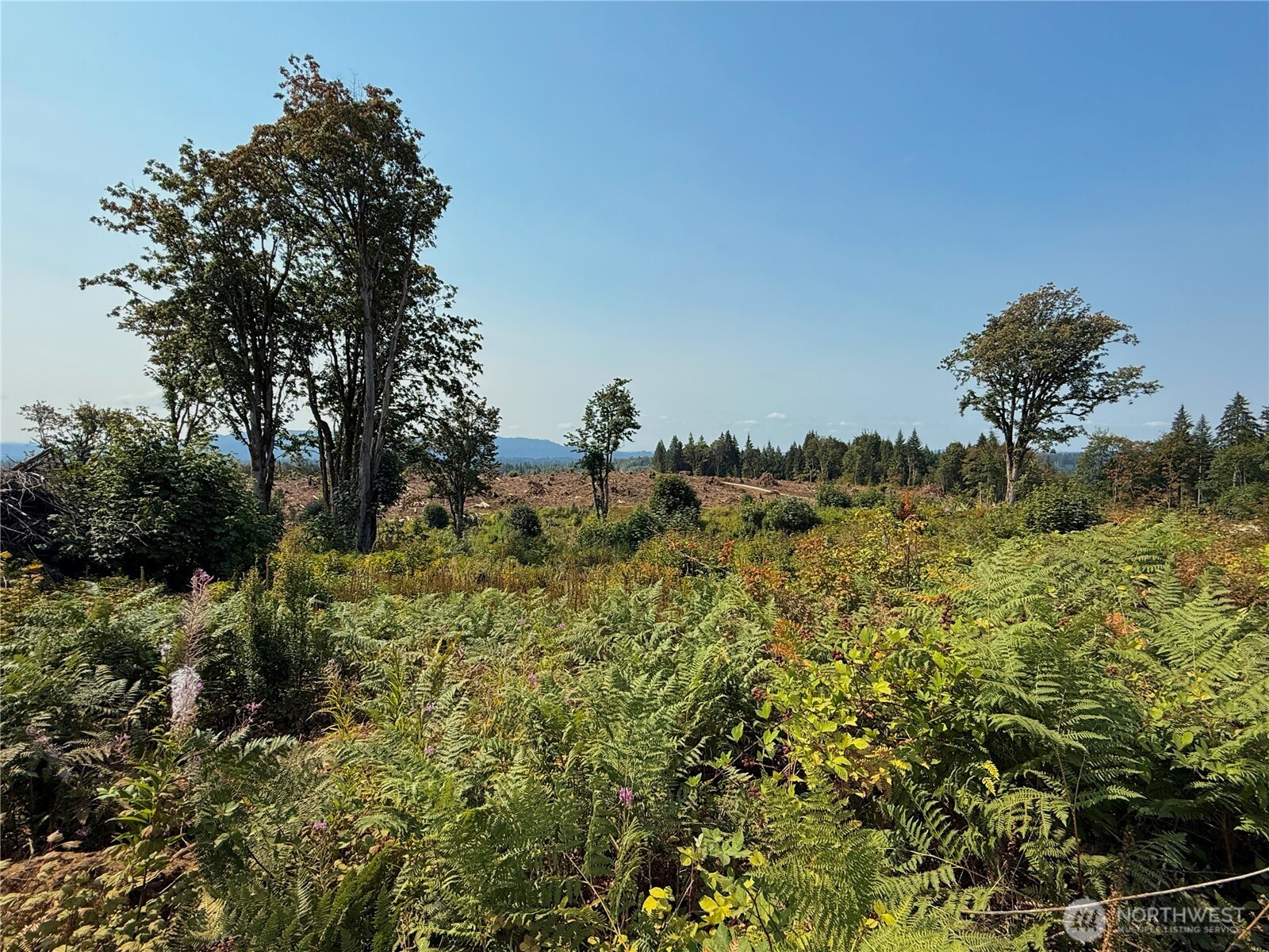 27419 Old Pipeline Road Property Photo 11