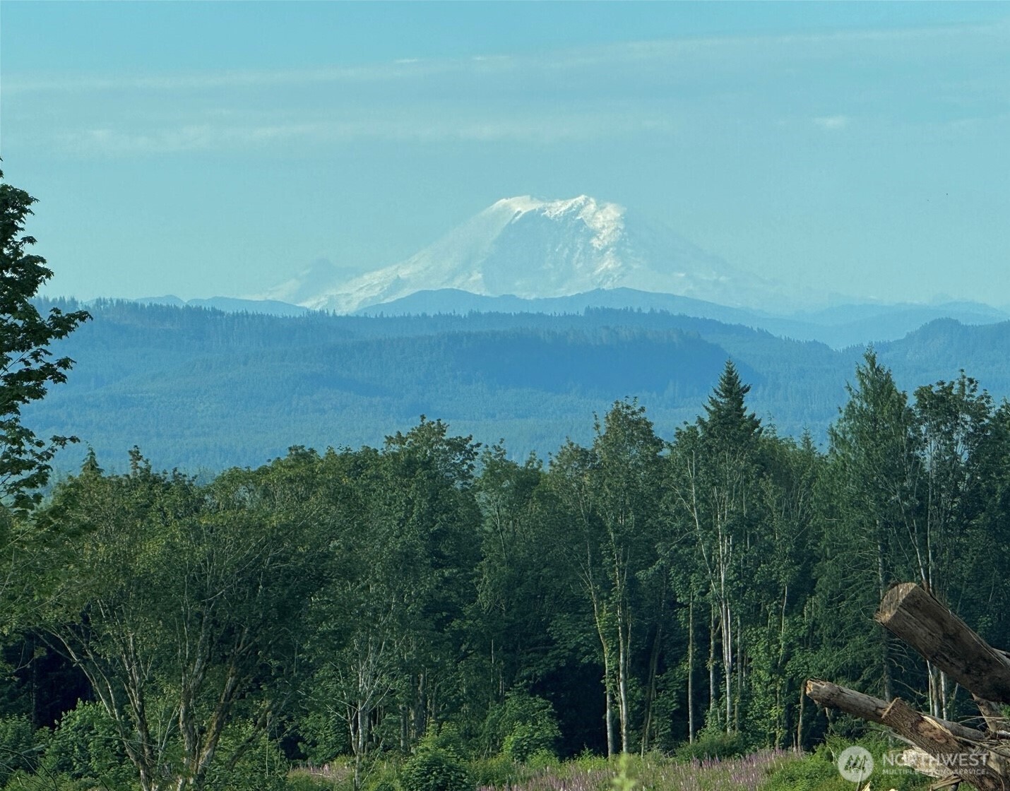 27419 Old Pipeline Road Property Photo 16