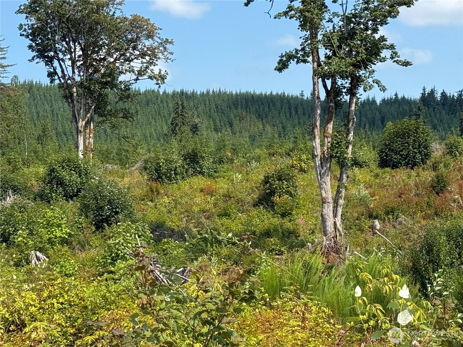 27419 Old Pipeline Road Property Photo 19