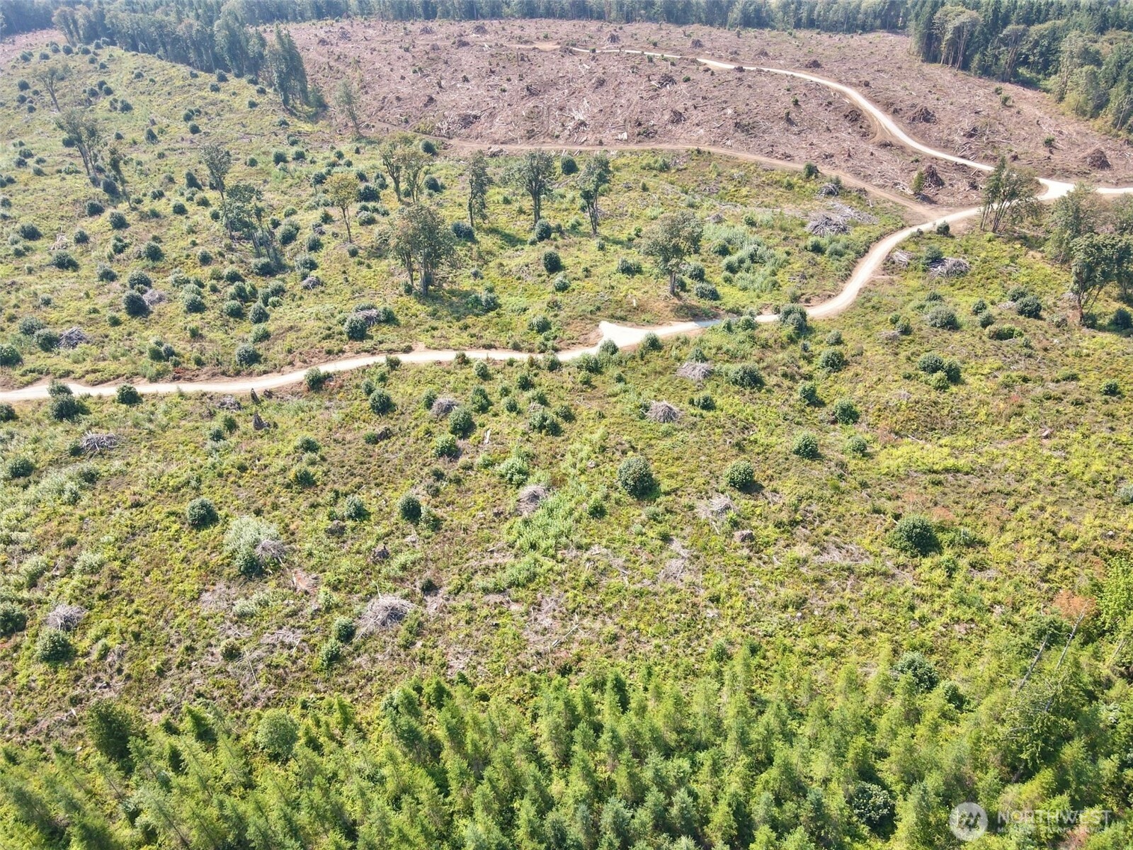 27419 Old Pipeline Road Property Photo 21