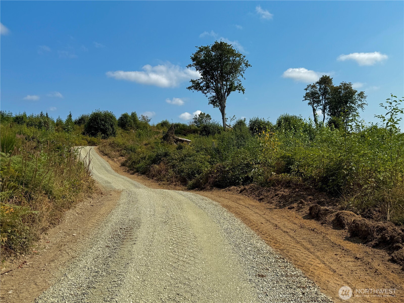 27419 Old Pipeline Road Property Photo 22