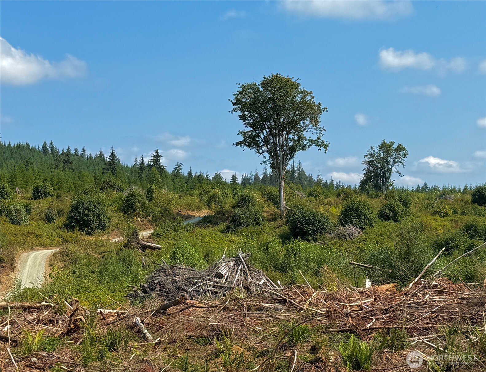 27419 Old Pipeline Road Property Photo 23
