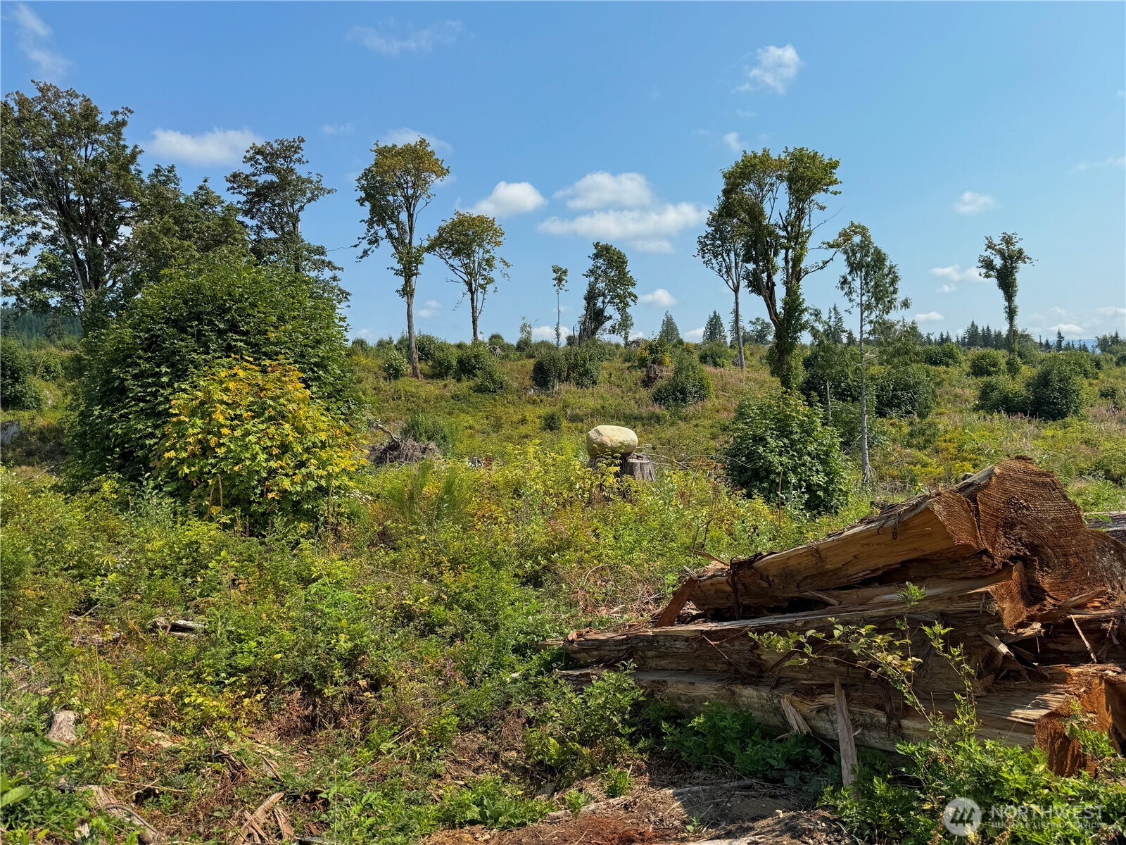 27419 Old Pipeline Road Property Photo 24