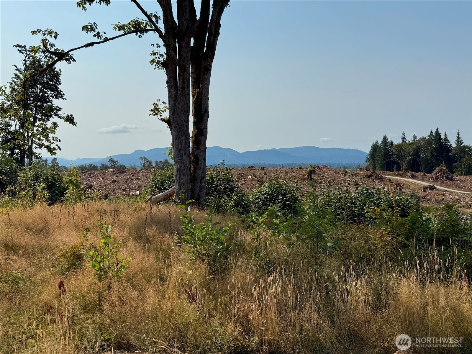 27419 Old Pipeline Road Property Photo 25