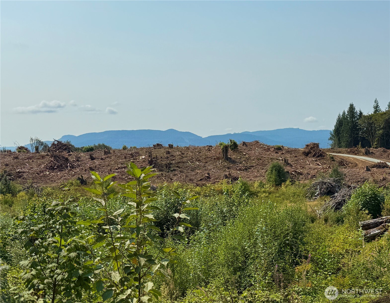 27419 Old Pipeline Road Property Photo 26