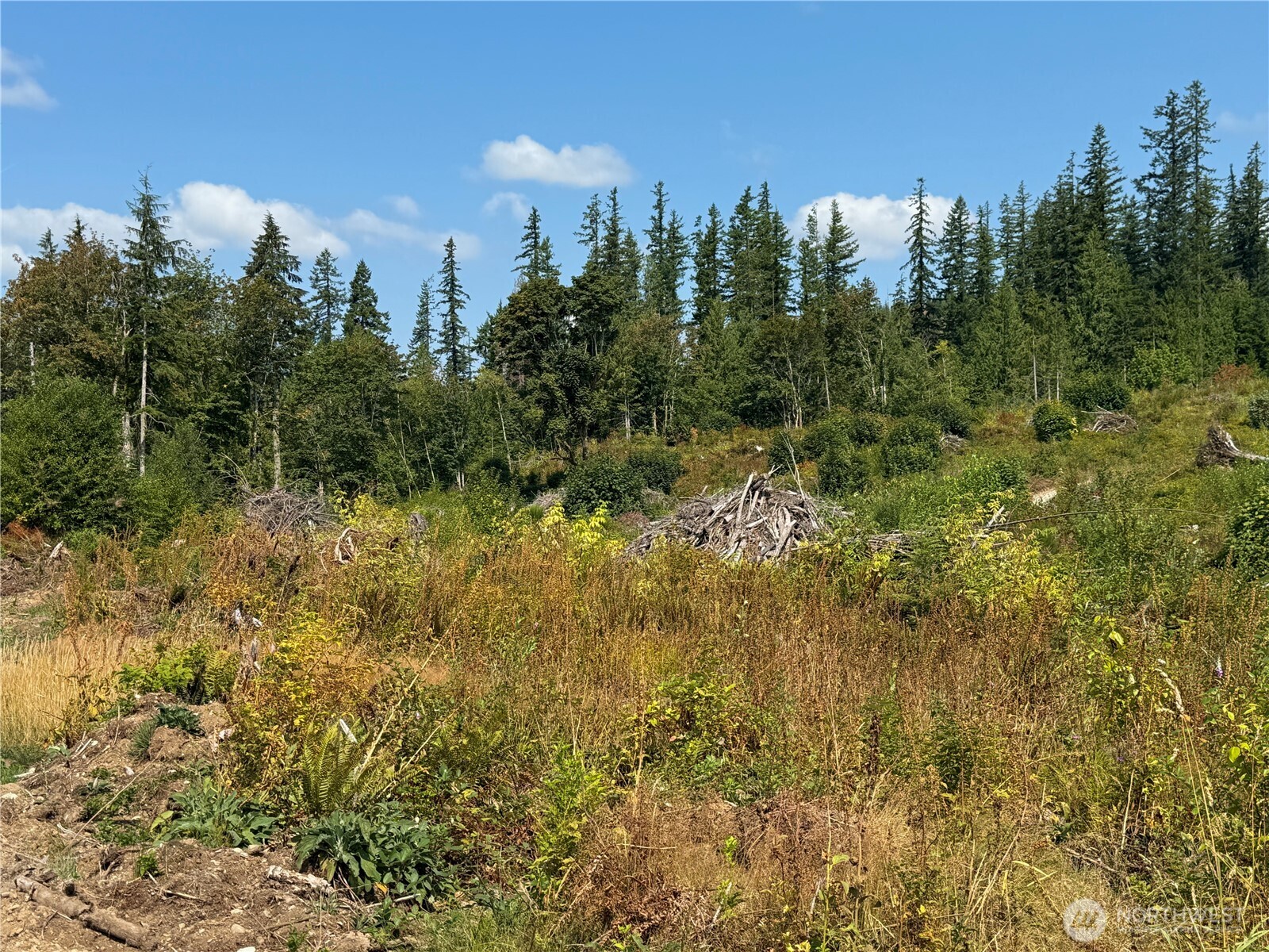 27419 Old Pipeline Road Property Photo 30