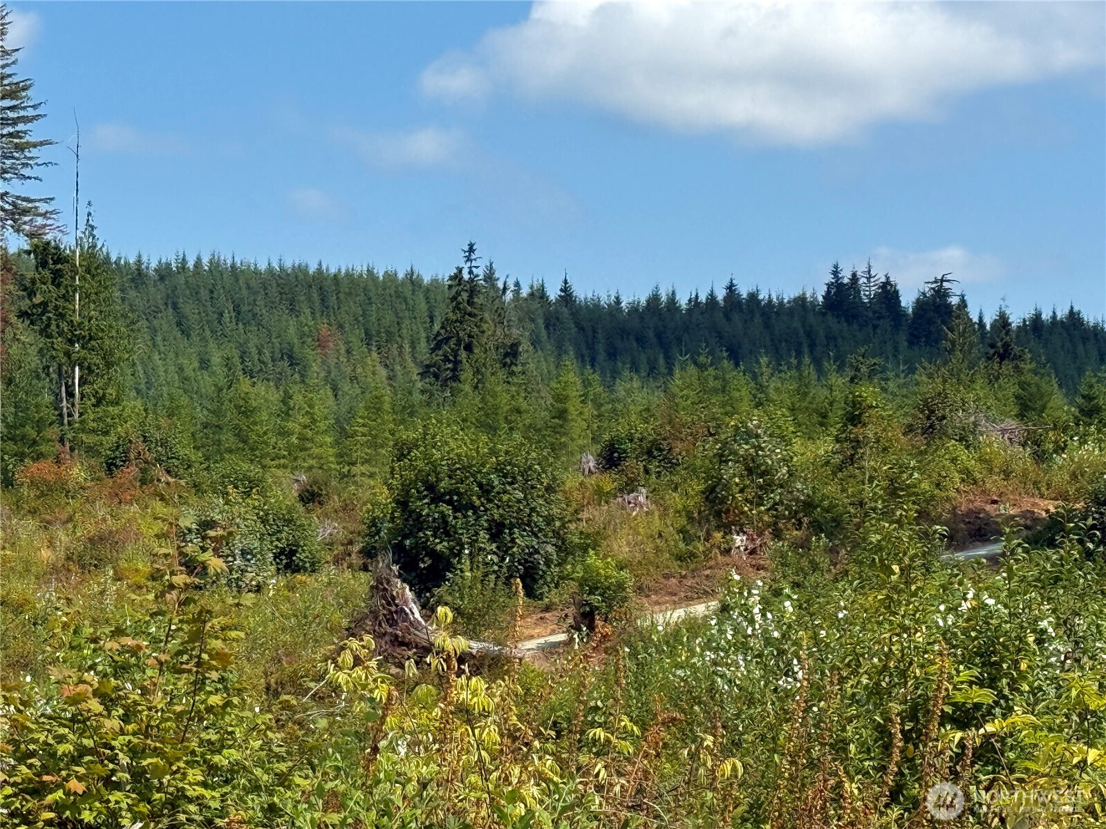 27419 Old Pipeline Road Property Photo 31