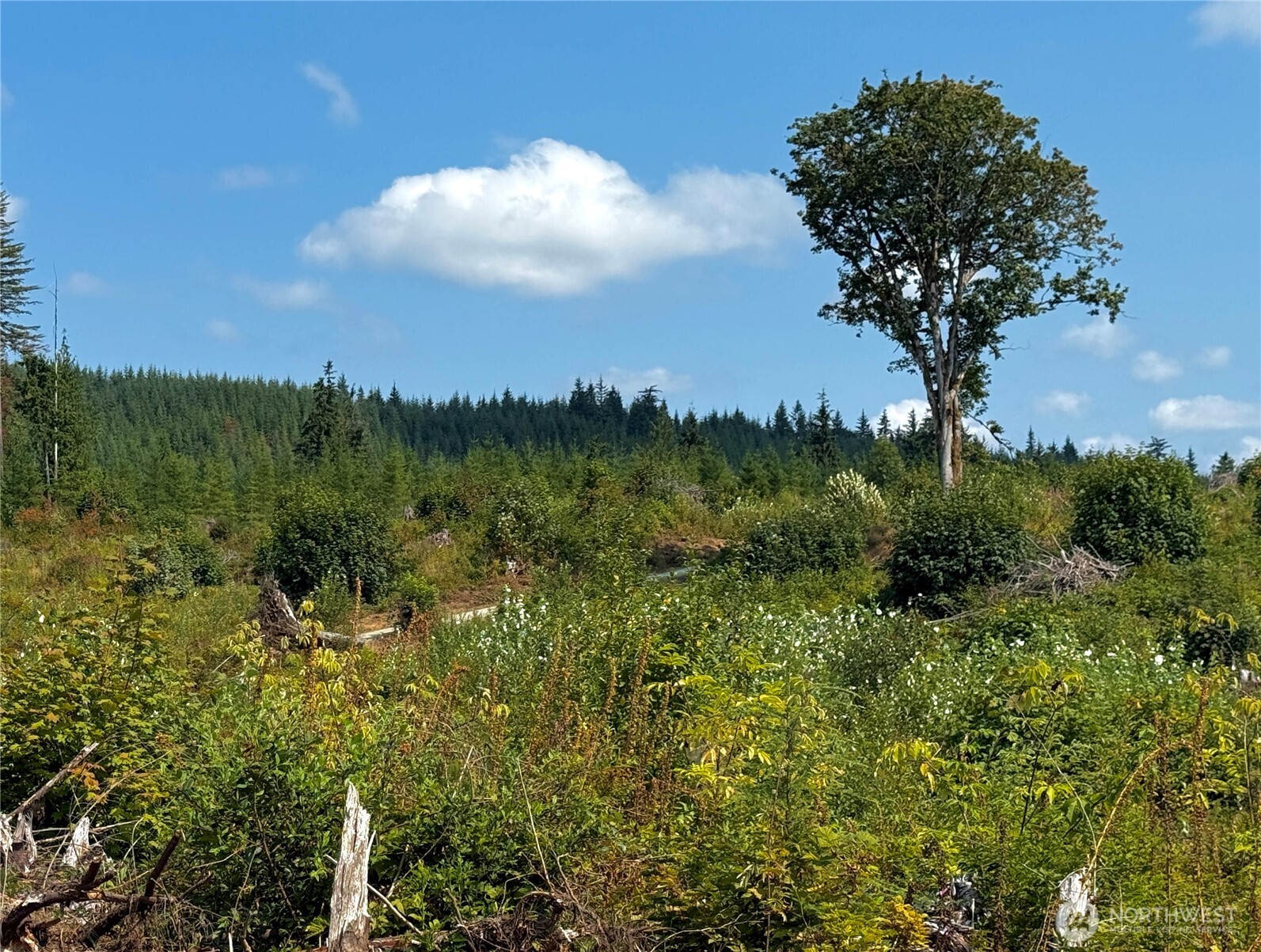 27419 Old Pipeline Road Property Photo 32