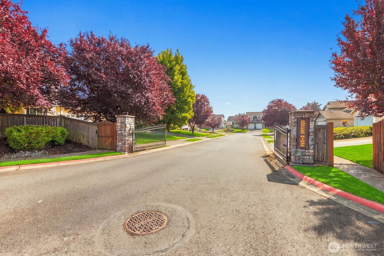 17109 117th Avenue Court Property Photo 4