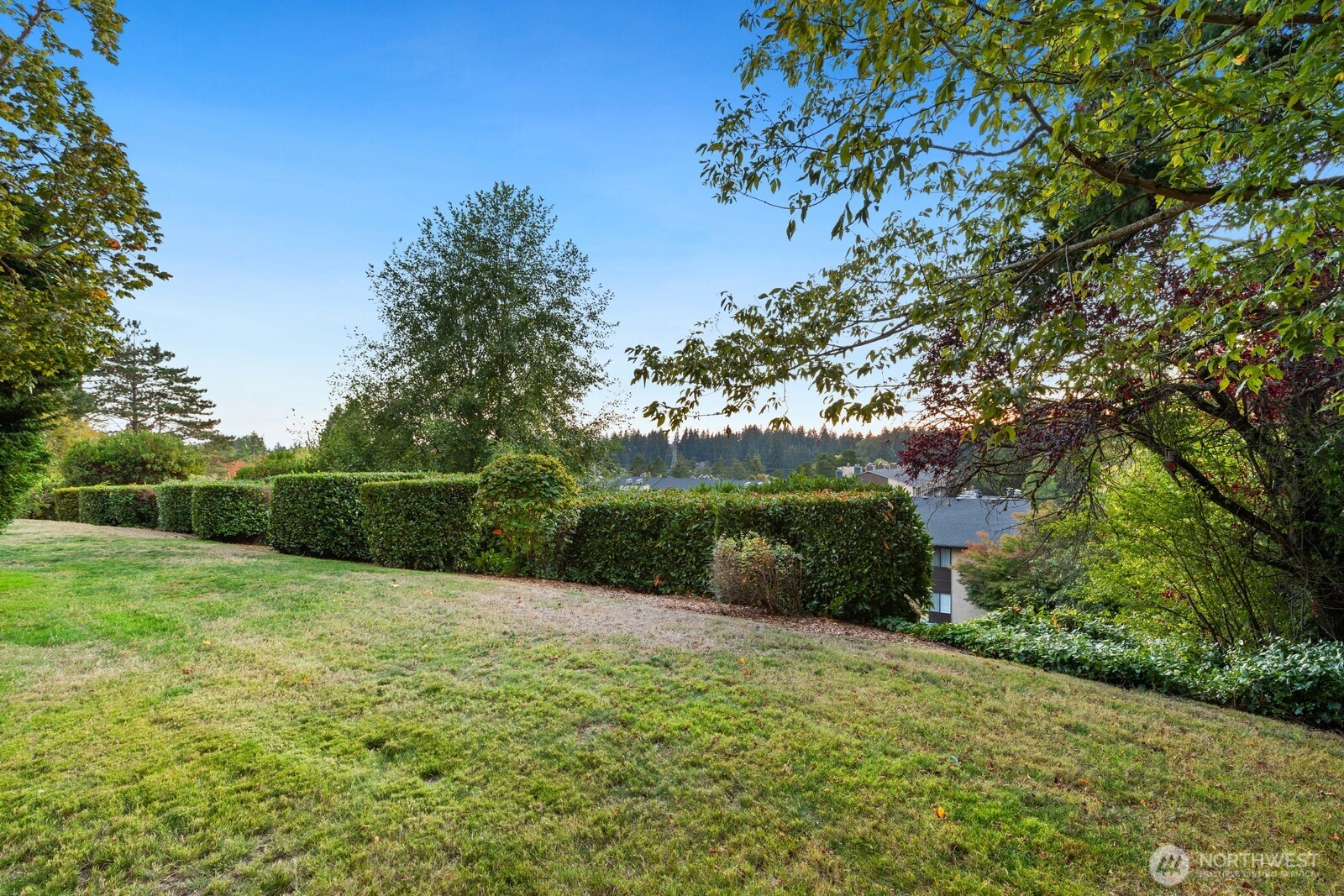 14521 127th Lane N56 Property Photo 14