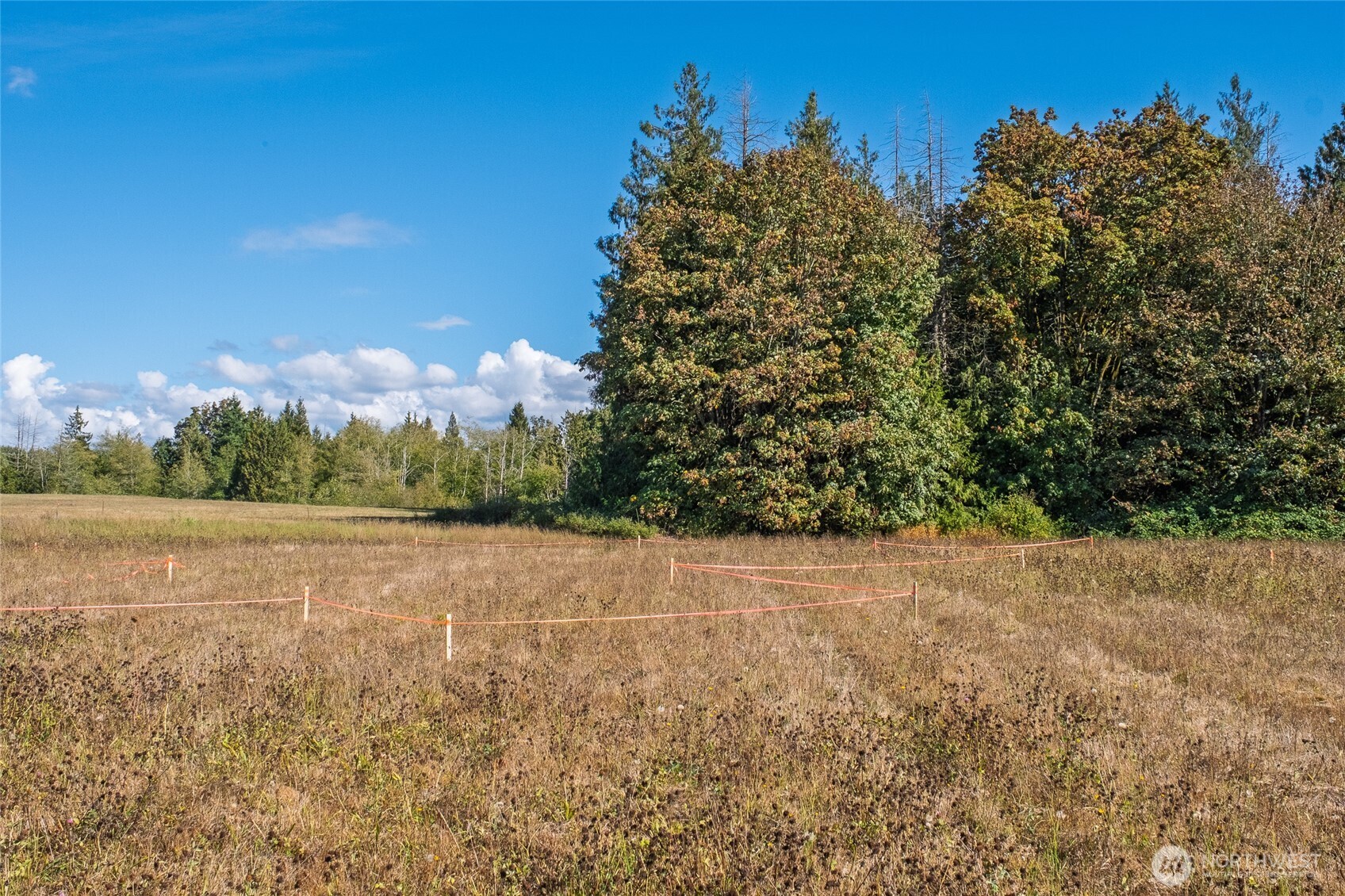 1383 Ten Mile Road Property Photo 21