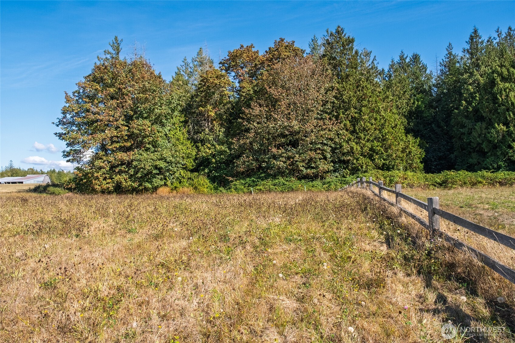 1383 Ten Mile Road Property Photo 27