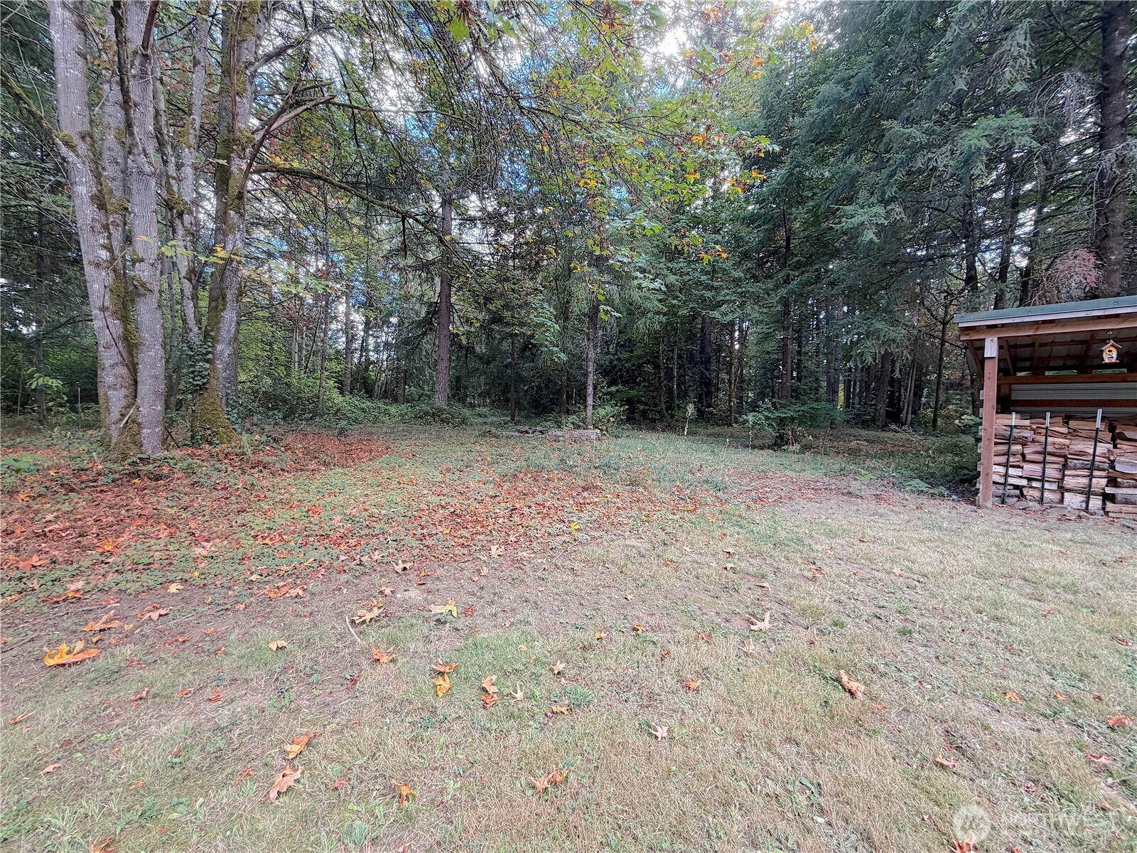 17405 153rd Avenue Property Photo 12