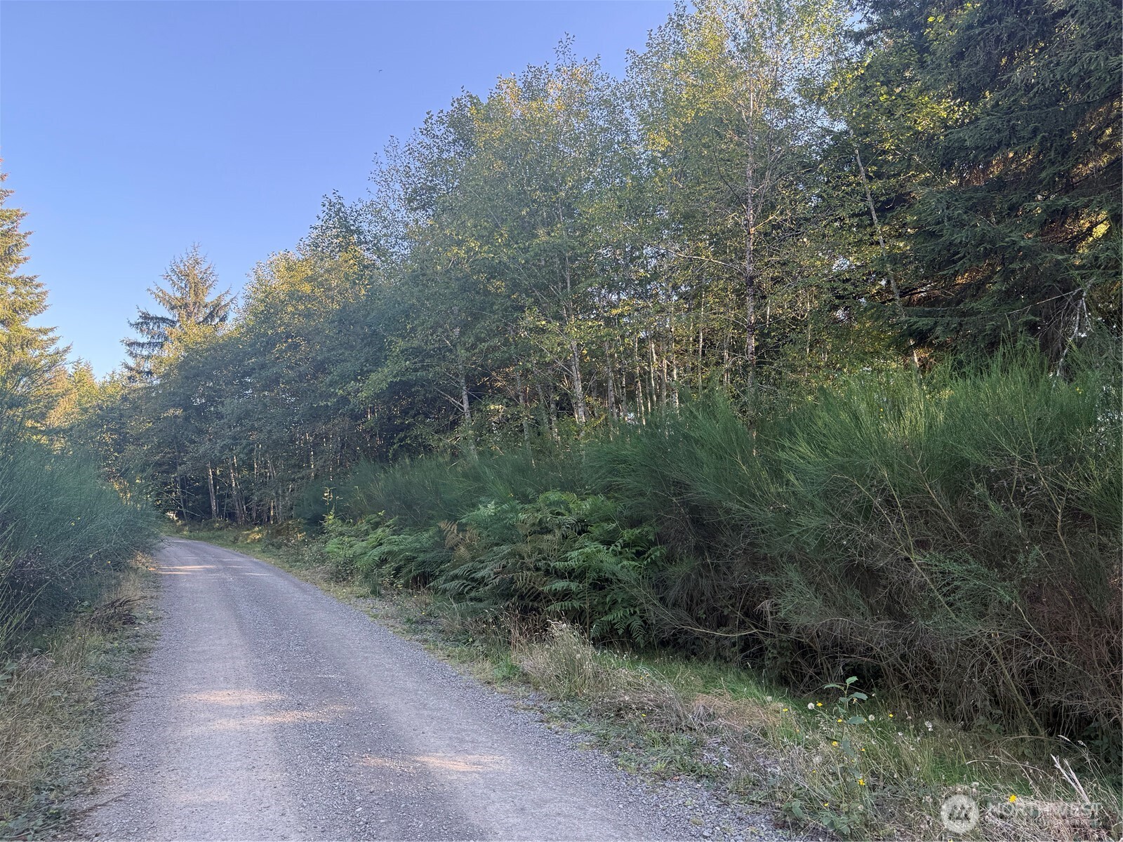 99922 Thomas Street Property Photo 1