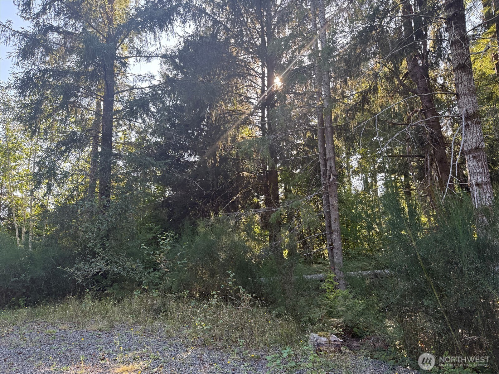 99922 Thomas Street Property Photo 2